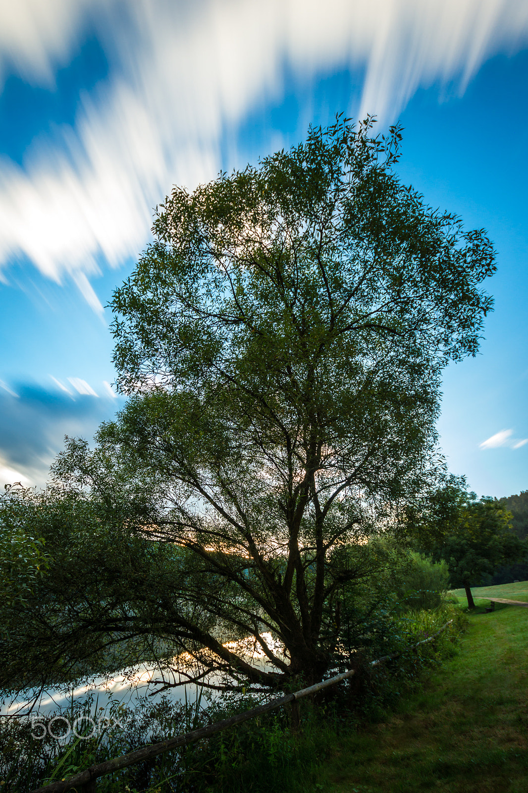 Sony SLT-A77 sample photo. Tree at marbachsee photography