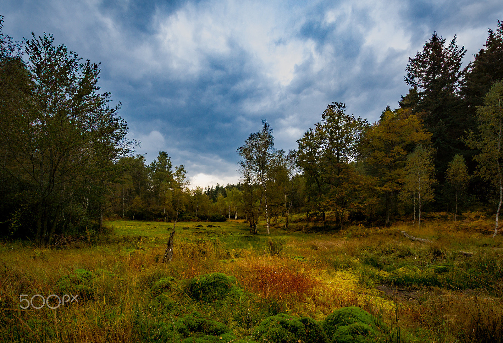 Sony SLT-A77 sample photo. Olfen moor photography