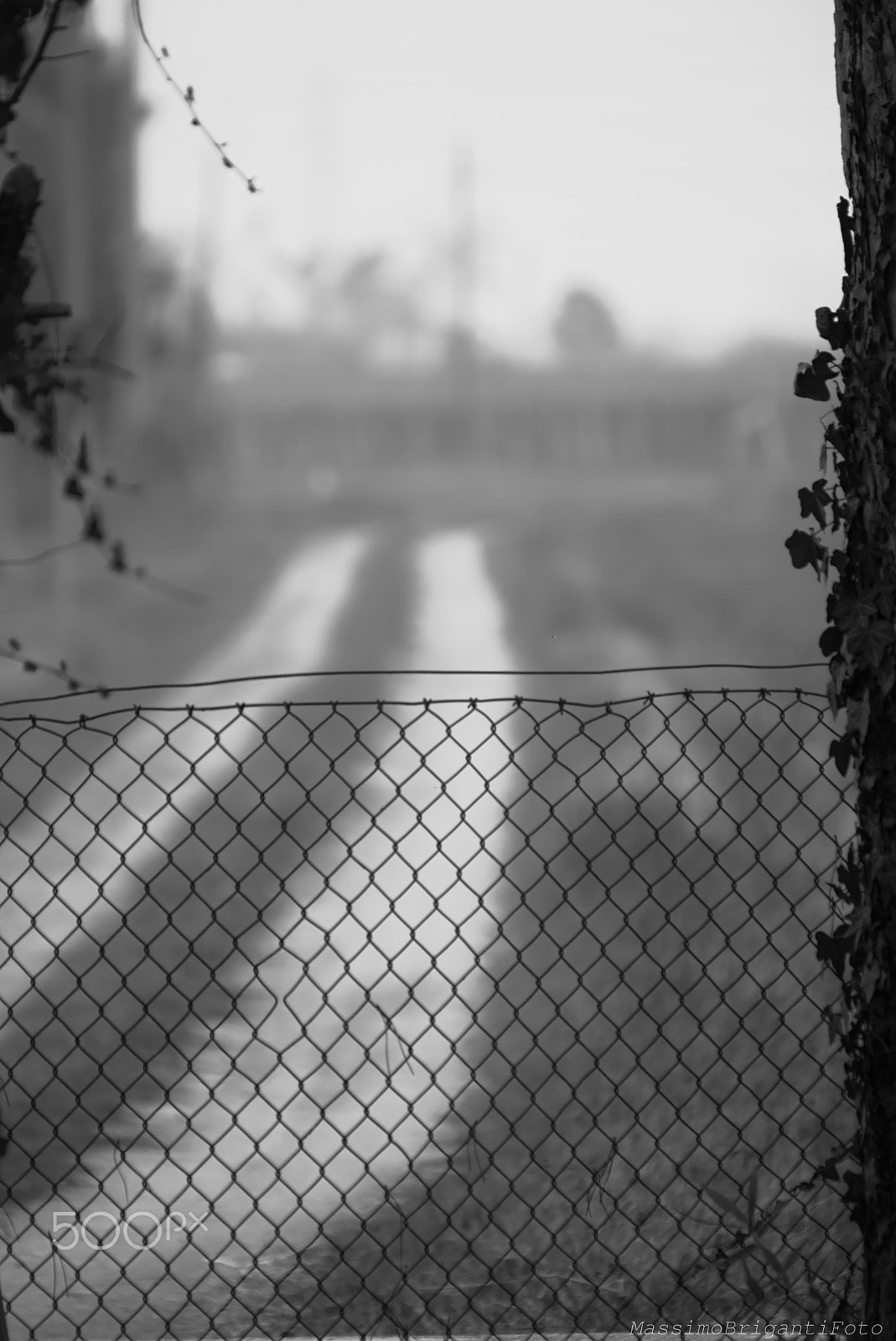 Tamron SP 35mm F1.8 Di VC USD sample photo. Jump the fence photography