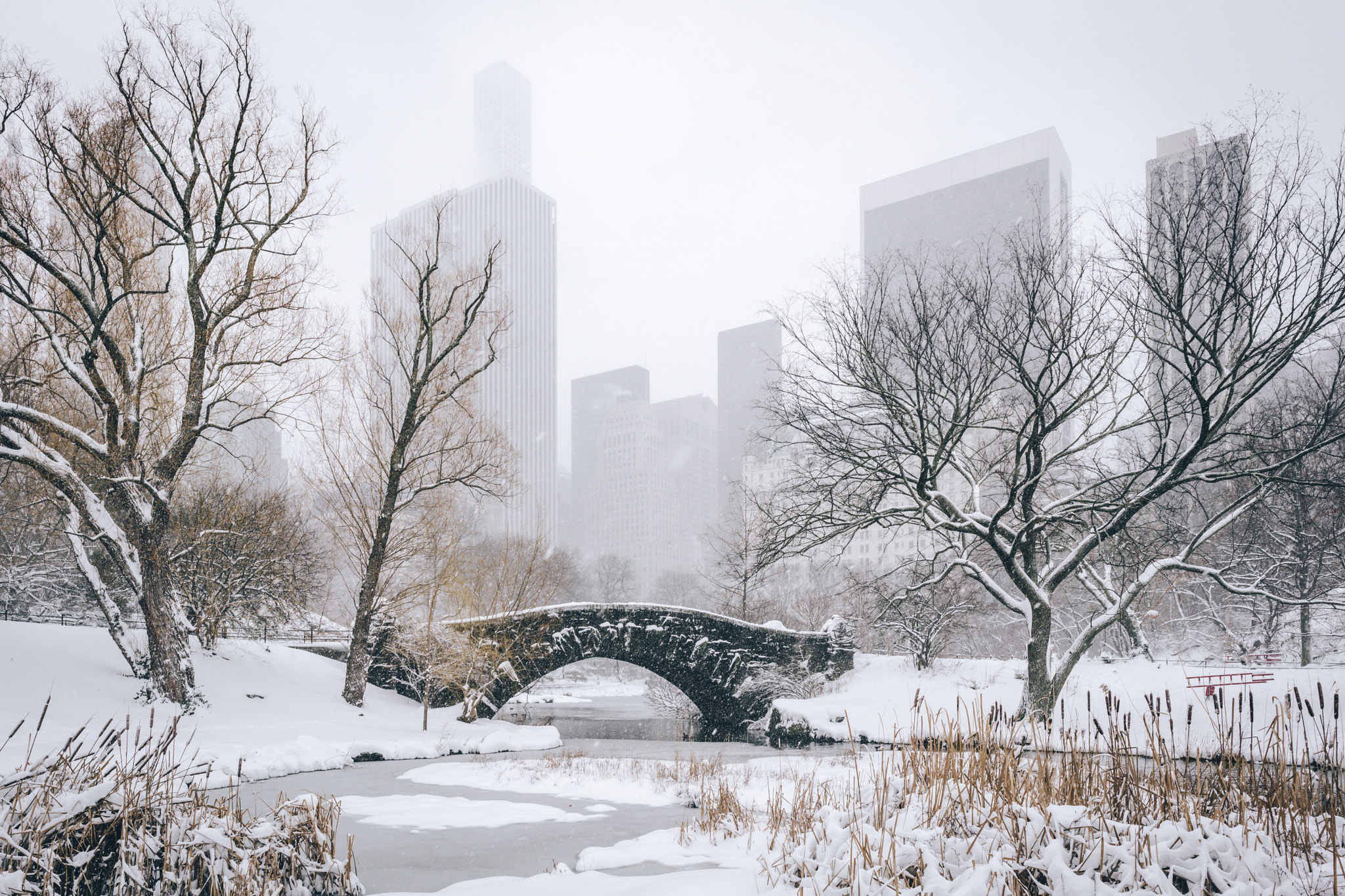 E 21mm F2.8 sample photo. Winter wonderland photography