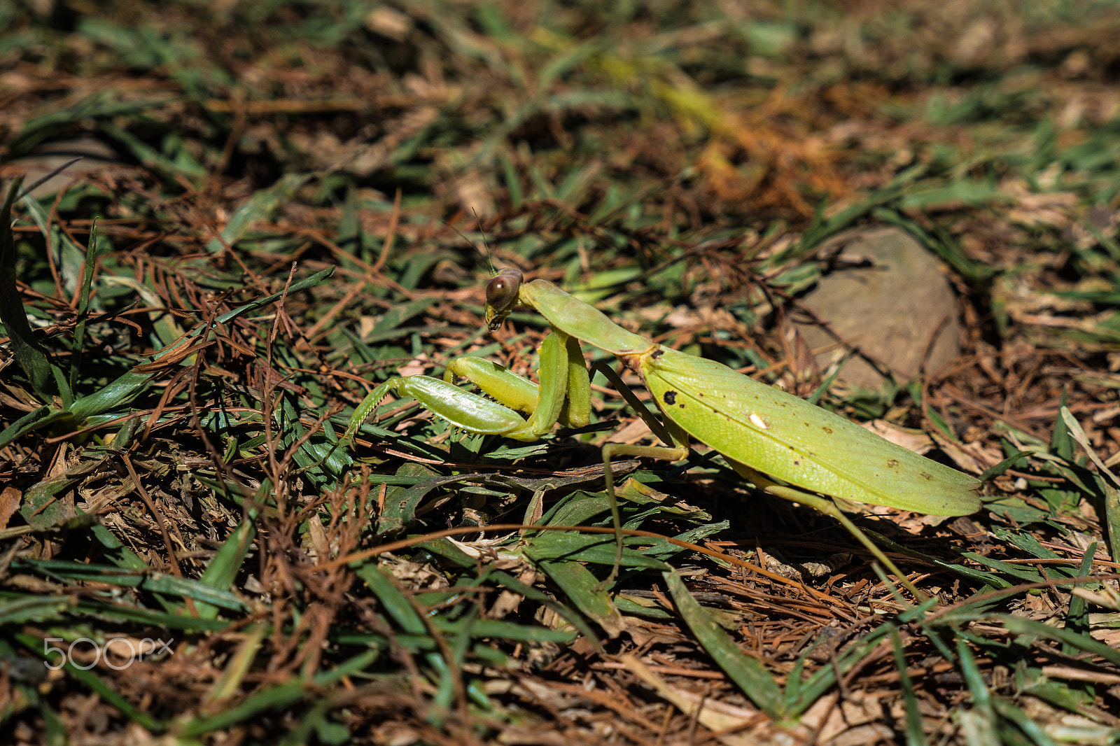 Panasonic Lumix G X Vario 12-35mm F2.8 ASPH Power OIS sample photo. Taiwan photography