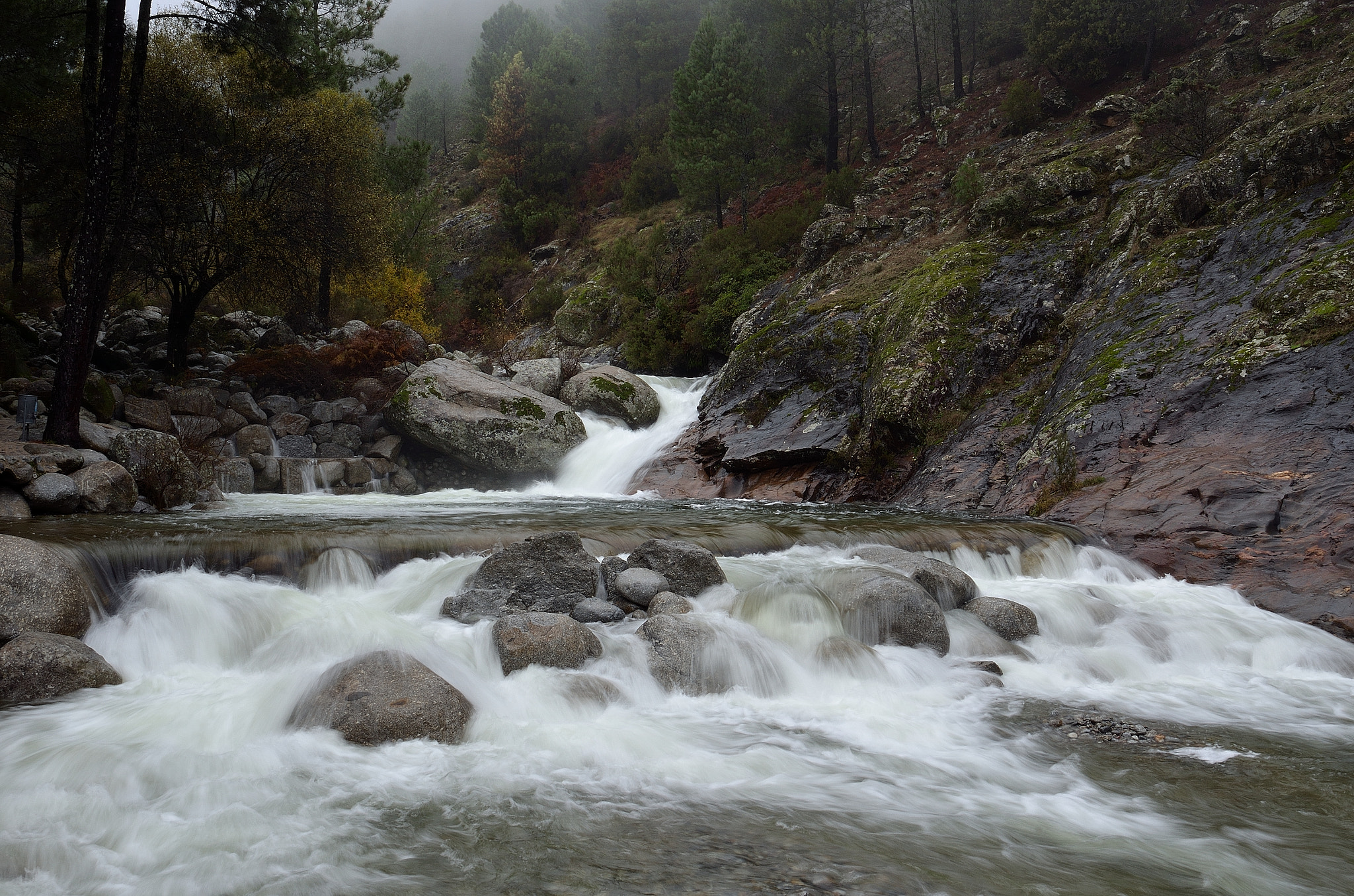 Nikon AF-S Nikkor 24-120mm F4G ED VR sample photo. Charco verde de guisando avila photography