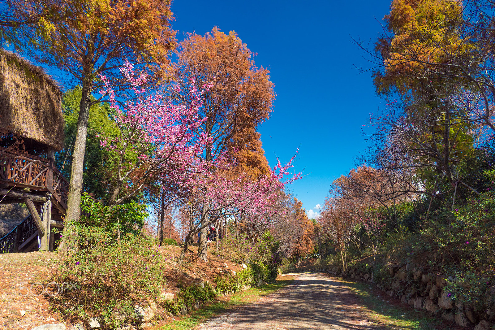 Panasonic Lumix G X Vario 12-35mm F2.8 ASPH Power OIS sample photo. Taiwan photography