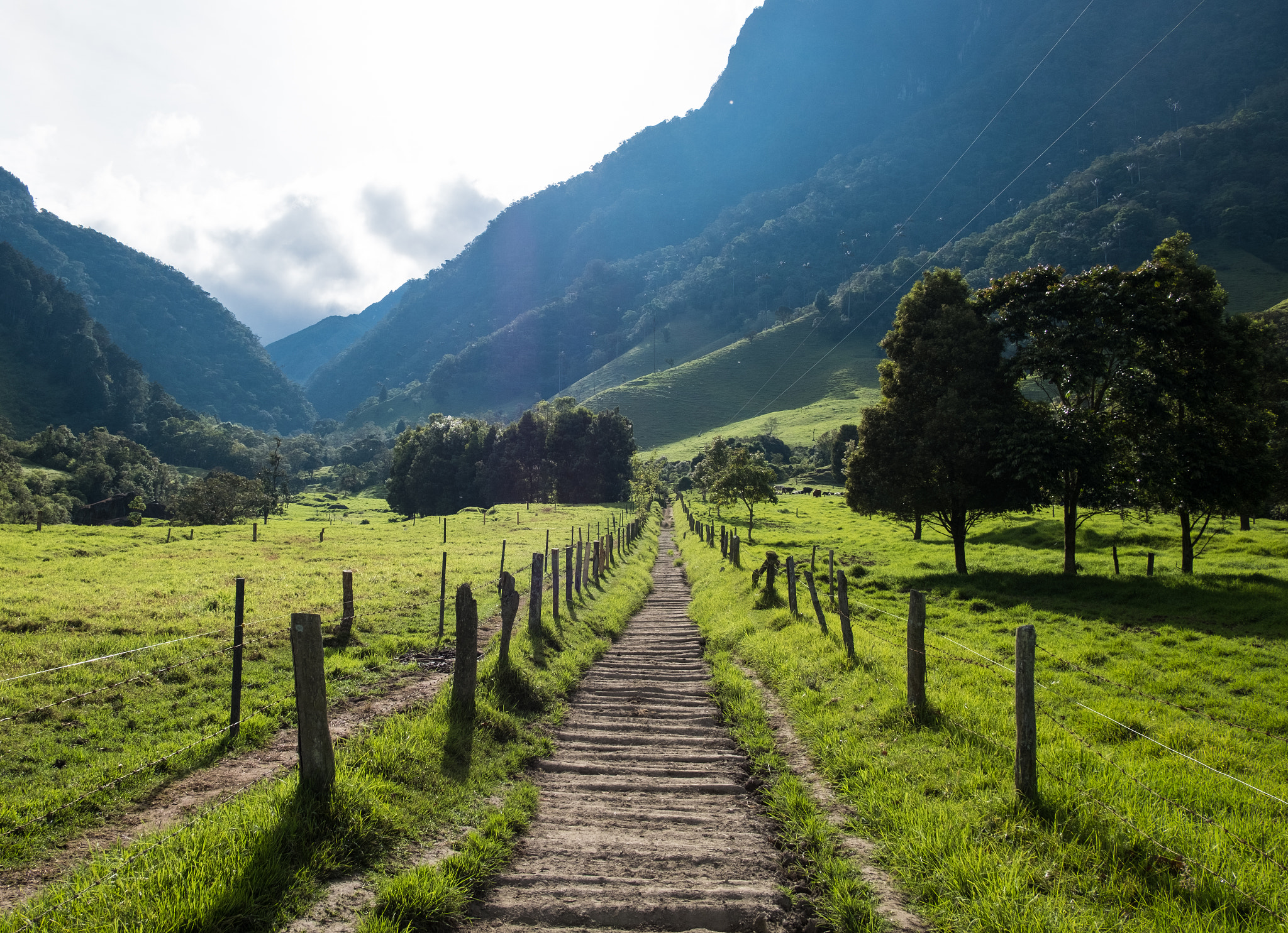 Fujifilm X-Pro2 sample photo. Cocora valley photography