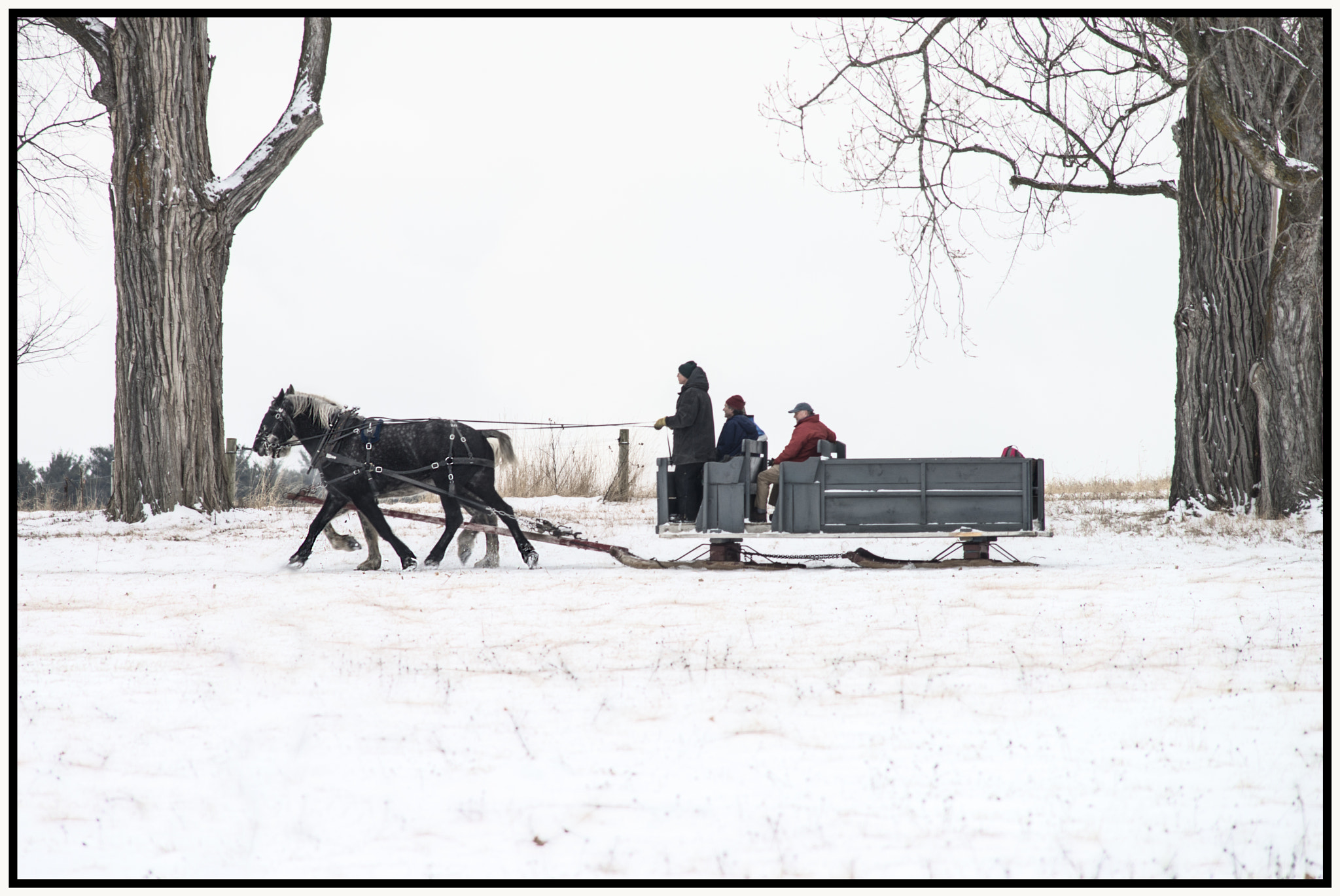 Nikon D800 sample photo. Old time sled photography