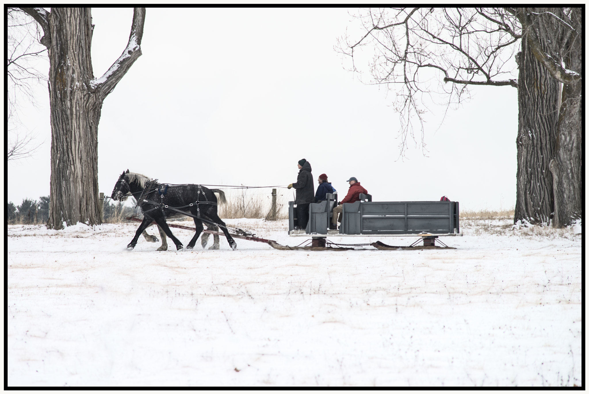 AF Nikkor 300mm f/4 IF-ED sample photo. Old time sled photography