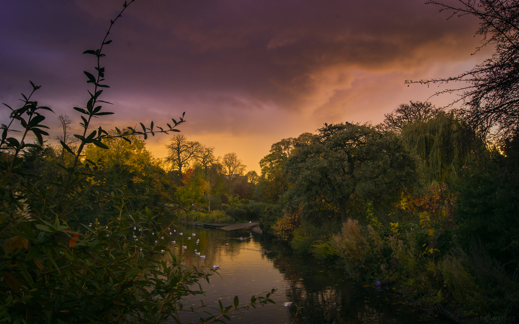 Sony Alpha DSLR-A500 + Sony DT 18-55mm F3.5-5.6 SAM sample photo. London parks photography