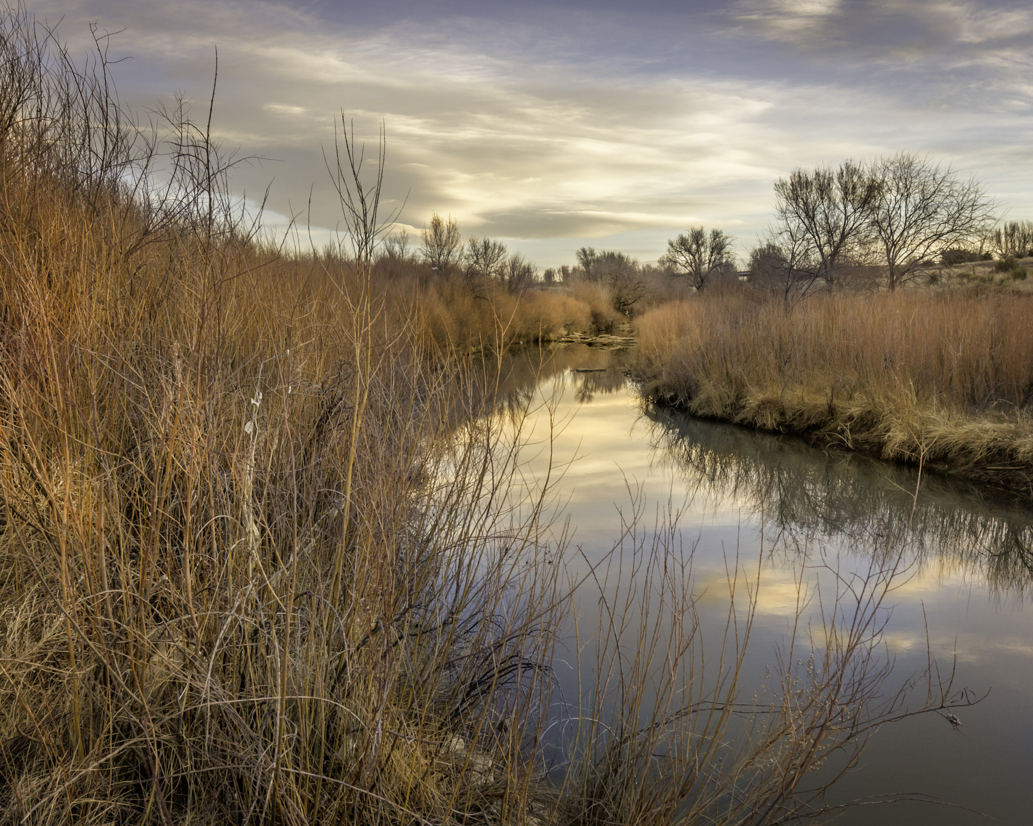 Canon EOS 60D + Canon EF 16-35mm F4L IS USM sample photo. Ppi las vegas nm mg photography