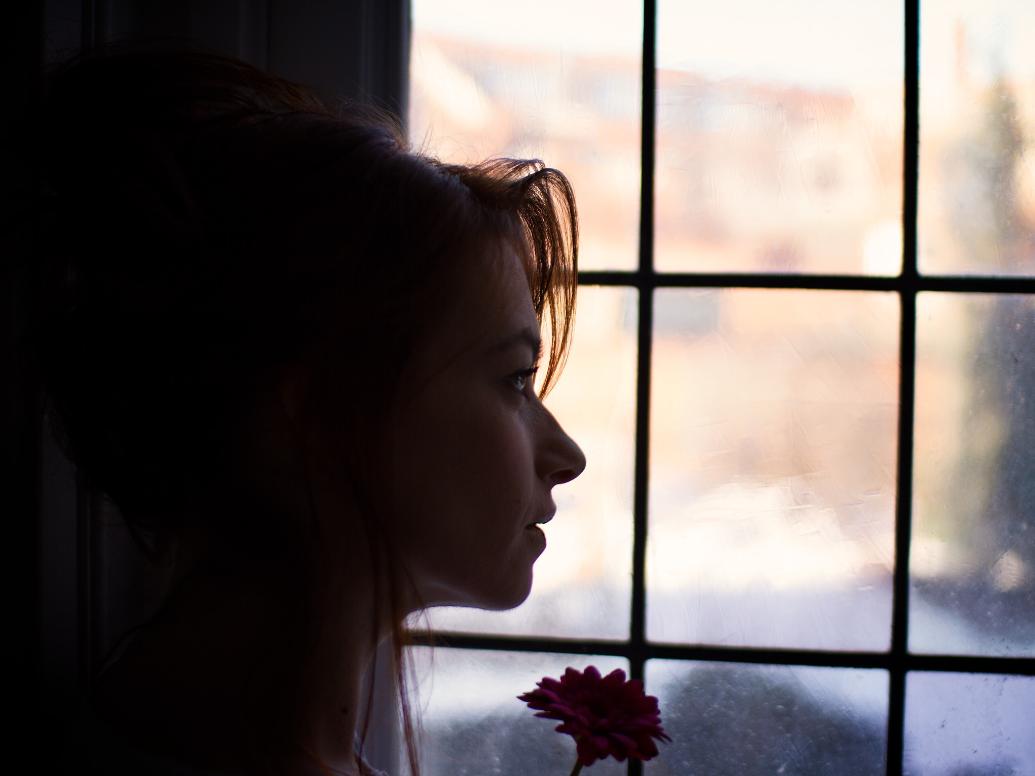 Sigma 30mm F1.4 EX DC HSM sample photo. The flower photography