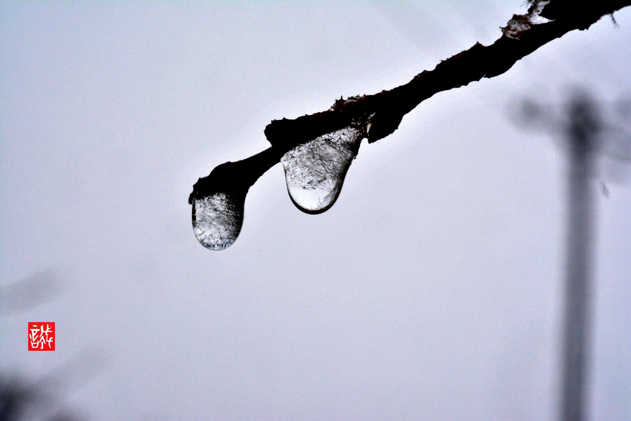 Nikon AF-S Micro-Nikkor 60mm F2.8G ED sample photo. Frozen drops 0208 photography