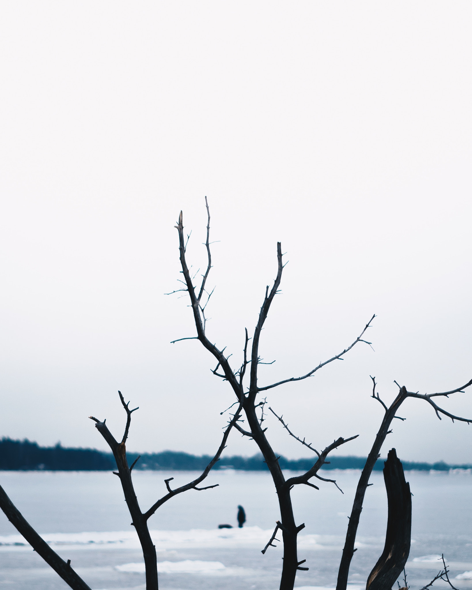 Canon EOS 6D + EF28-70mm f/2.8L USM sample photo