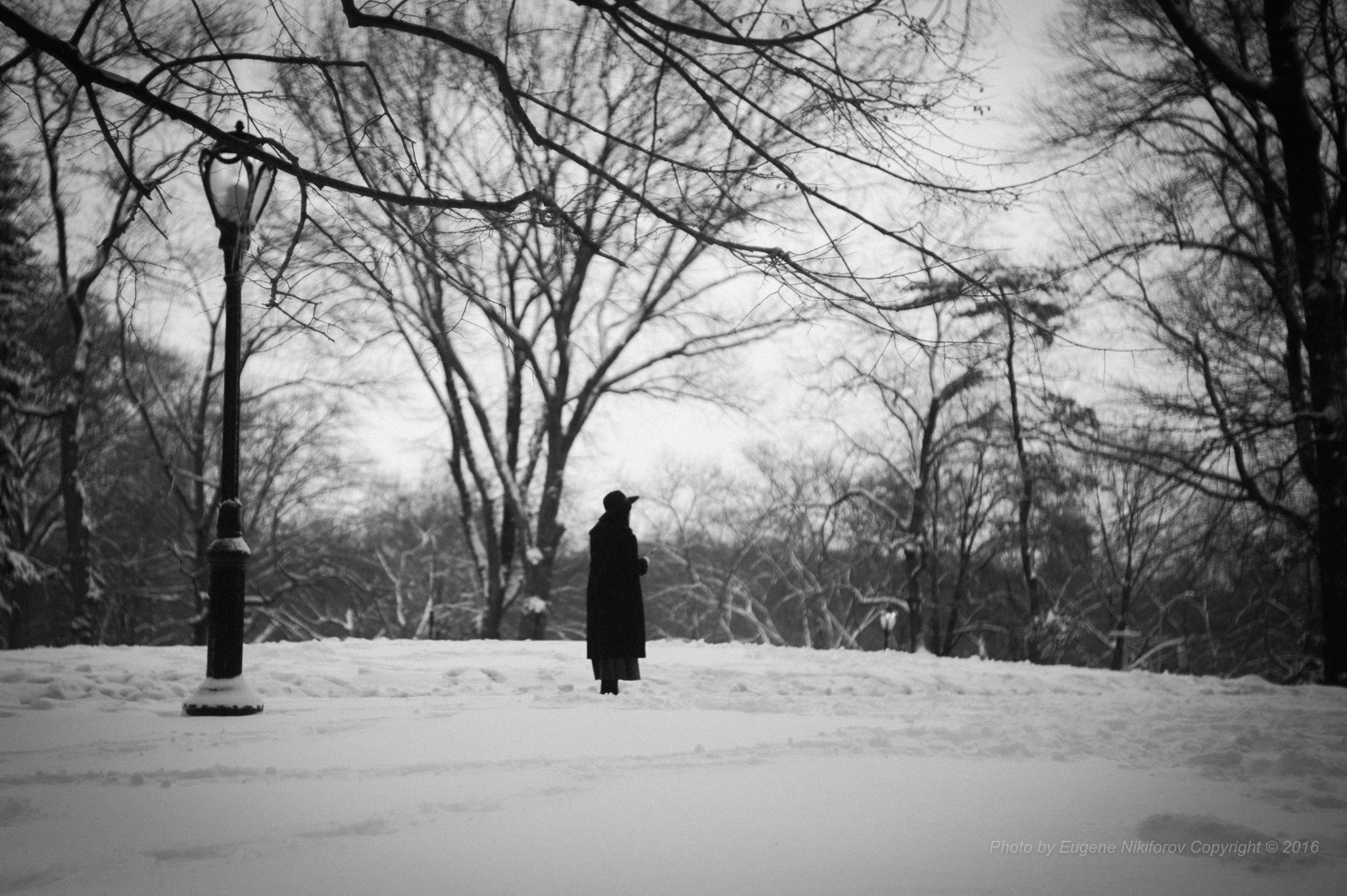 Leica M9 sample photo. Winter is sad, cold, and naked. photography