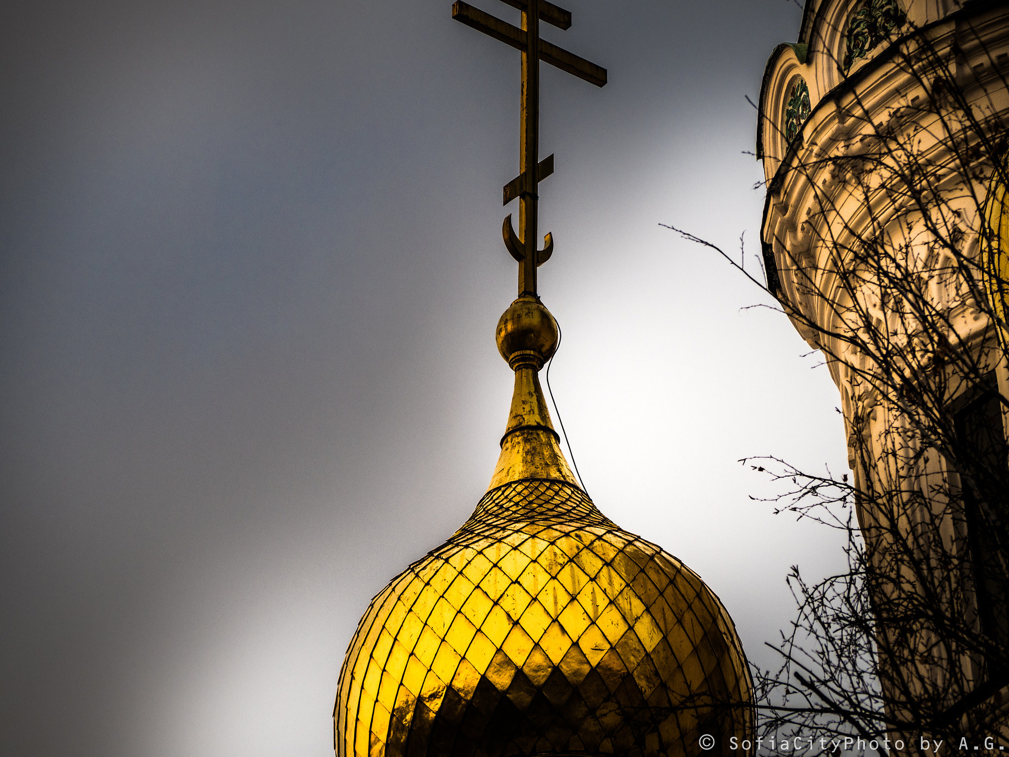 Olympus OM-D E-M5 II sample photo. The golden roof photography