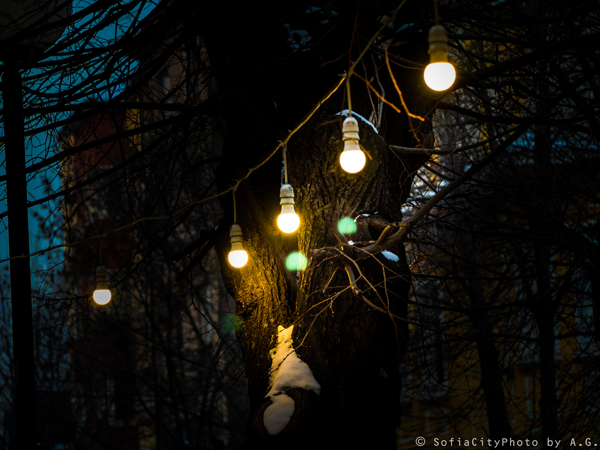 Olympus OM-D E-M5 II sample photo. Light bulbs photography