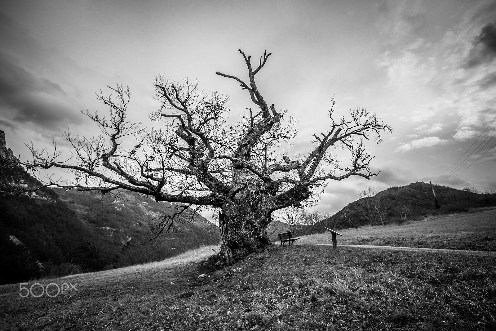 Canon EF-S 10-22mm F3.5-4.5 USM sample photo. This is not a nightmare, it's reality... photography