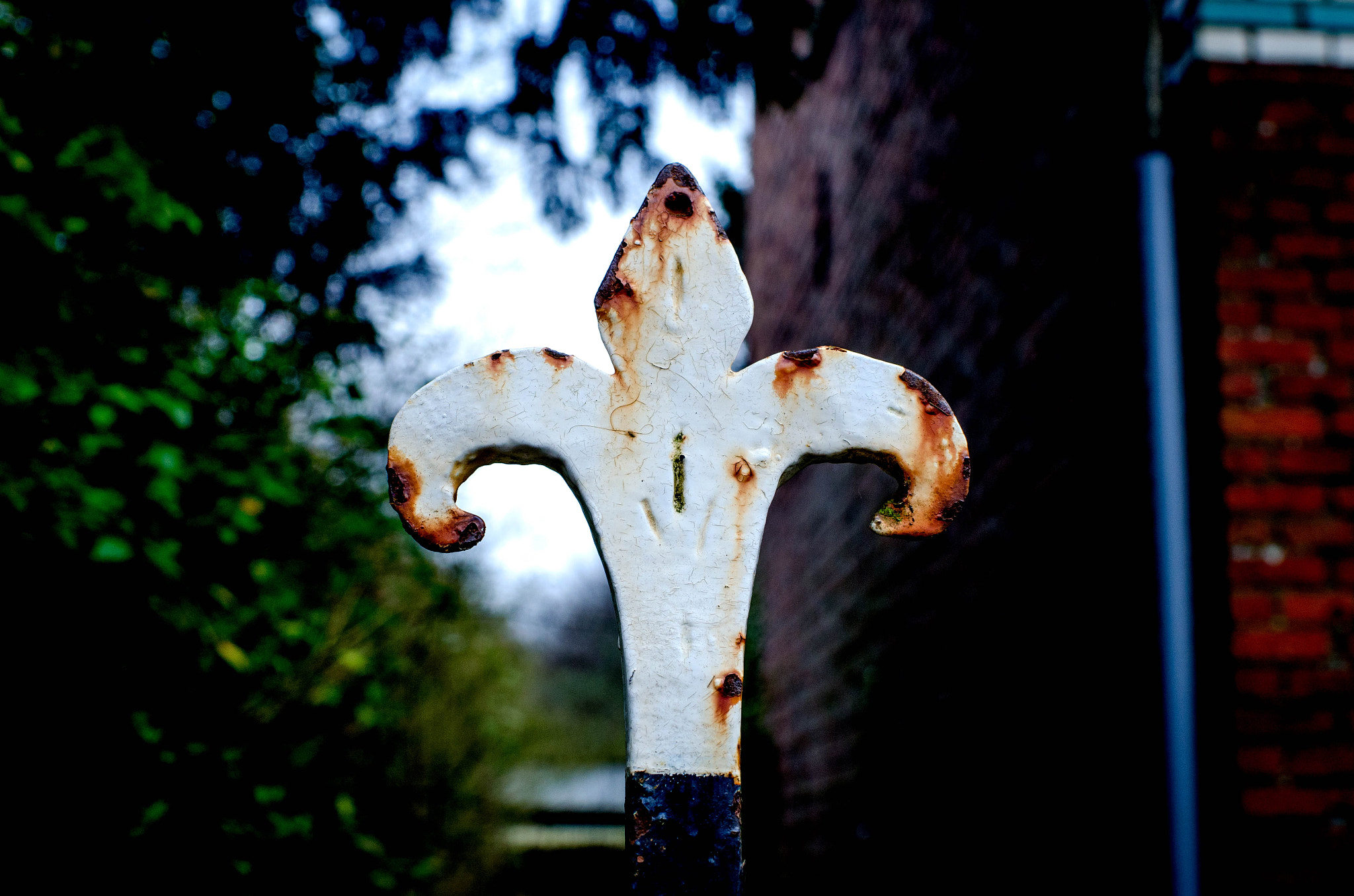 Nikon D7000 sample photo. Gate detail photography