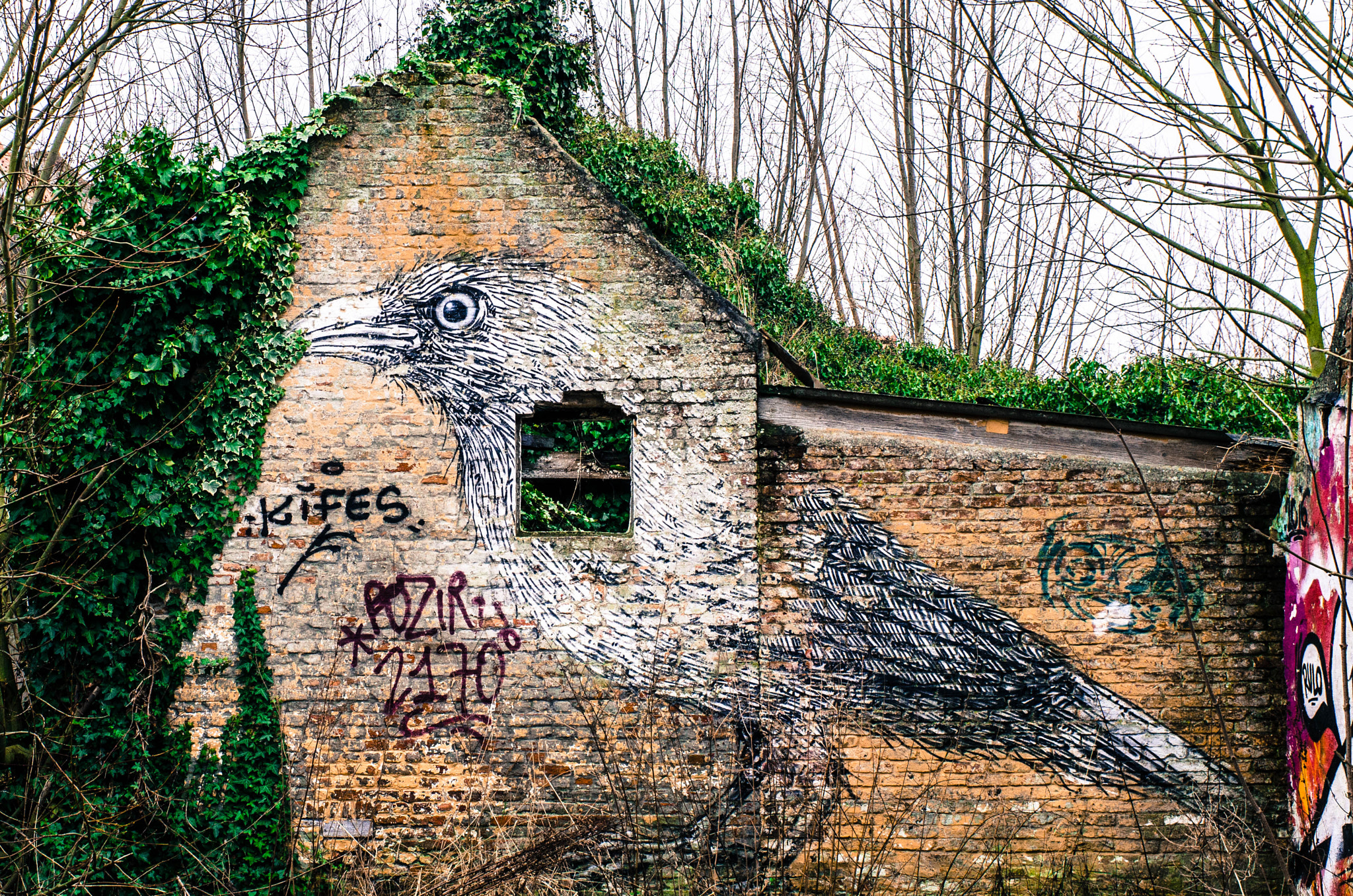 Nikon D7000 + Nikon AF-S Nikkor 35mm F1.4G sample photo. Abandoned shed photography