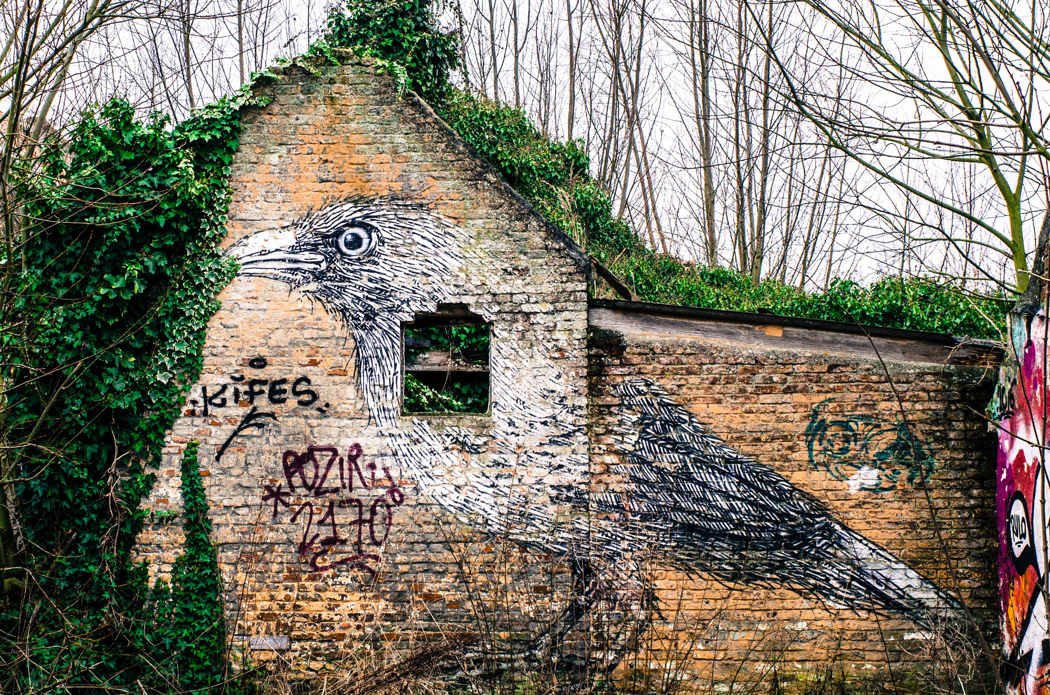 Nikon D7000 sample photo. Abandoned shed photography