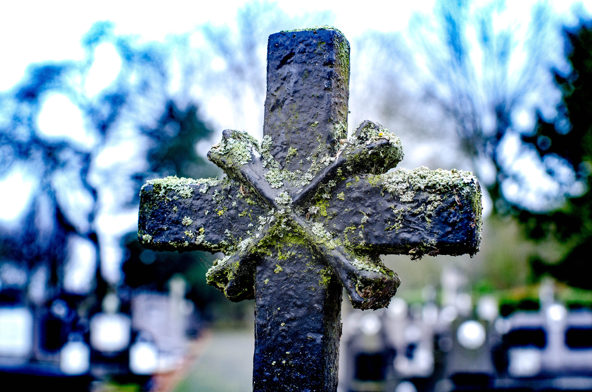 Nikon D7000 sample photo. Gate cemetery photography