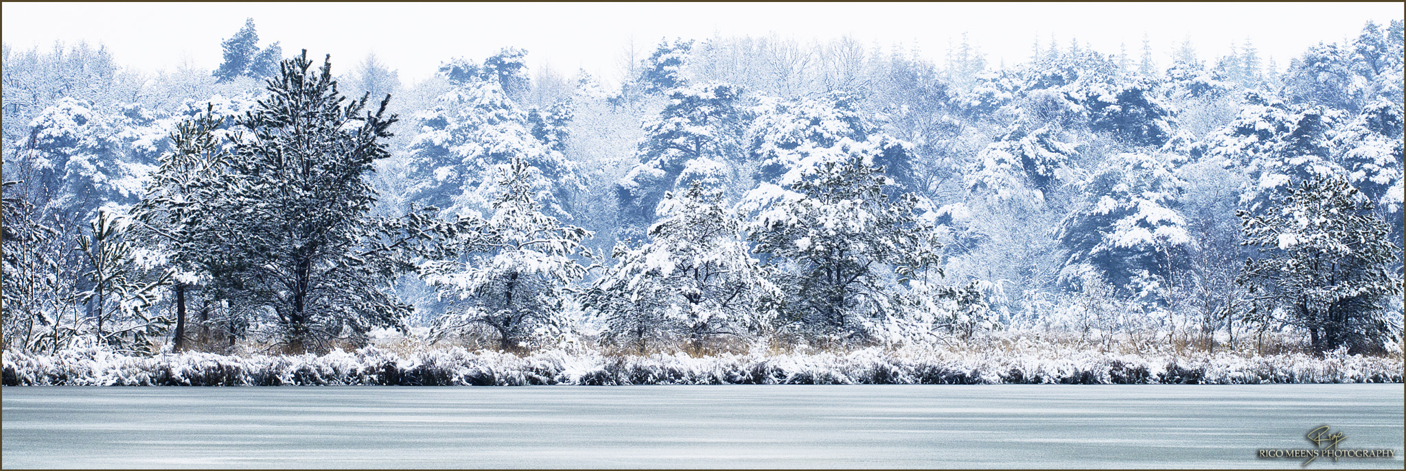 Canon EOS 80D + Canon EF 70-200mm F4L USM sample photo. Frozen world photography