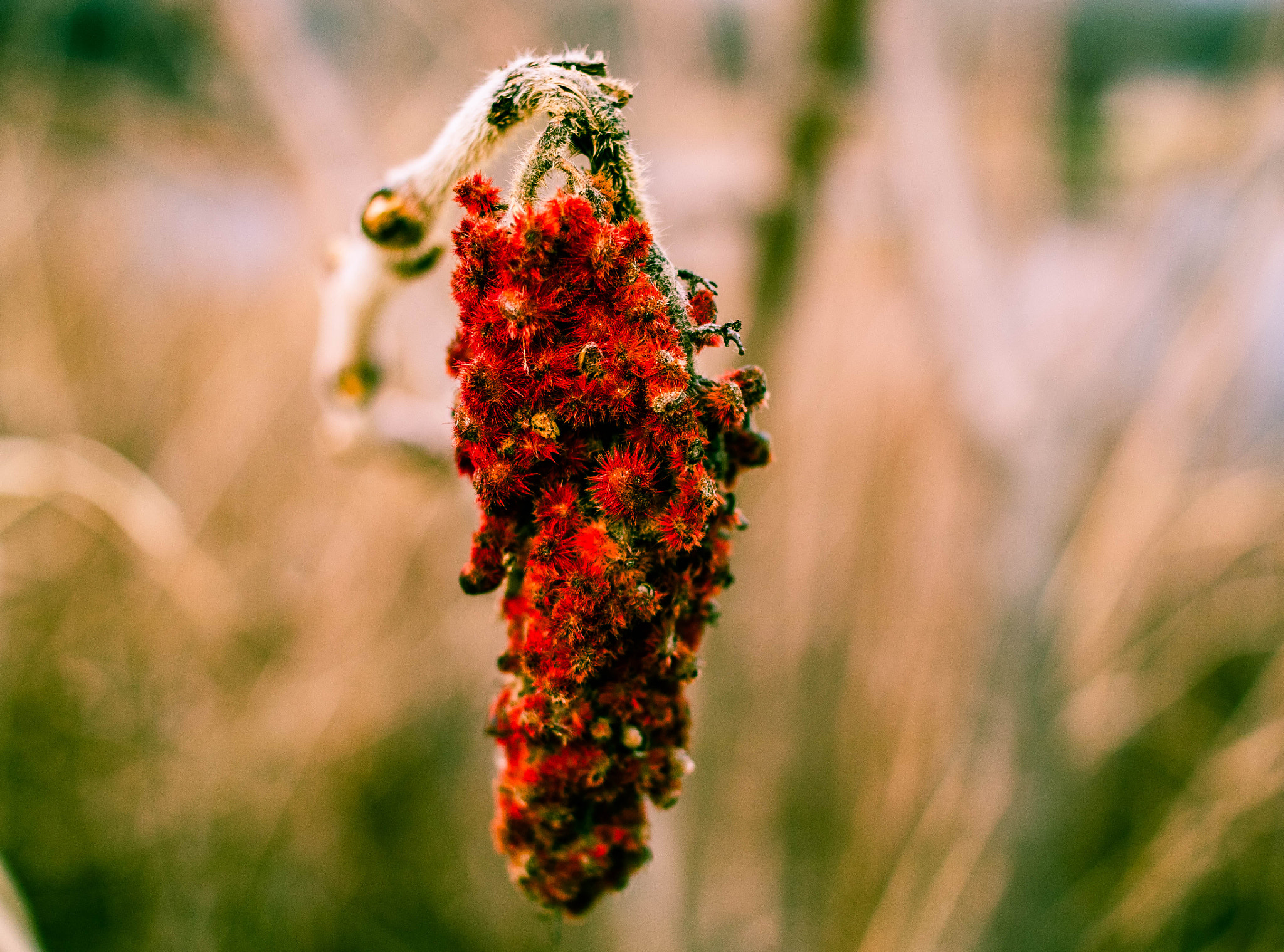 Canon EOS M3 sample photo. No name photography