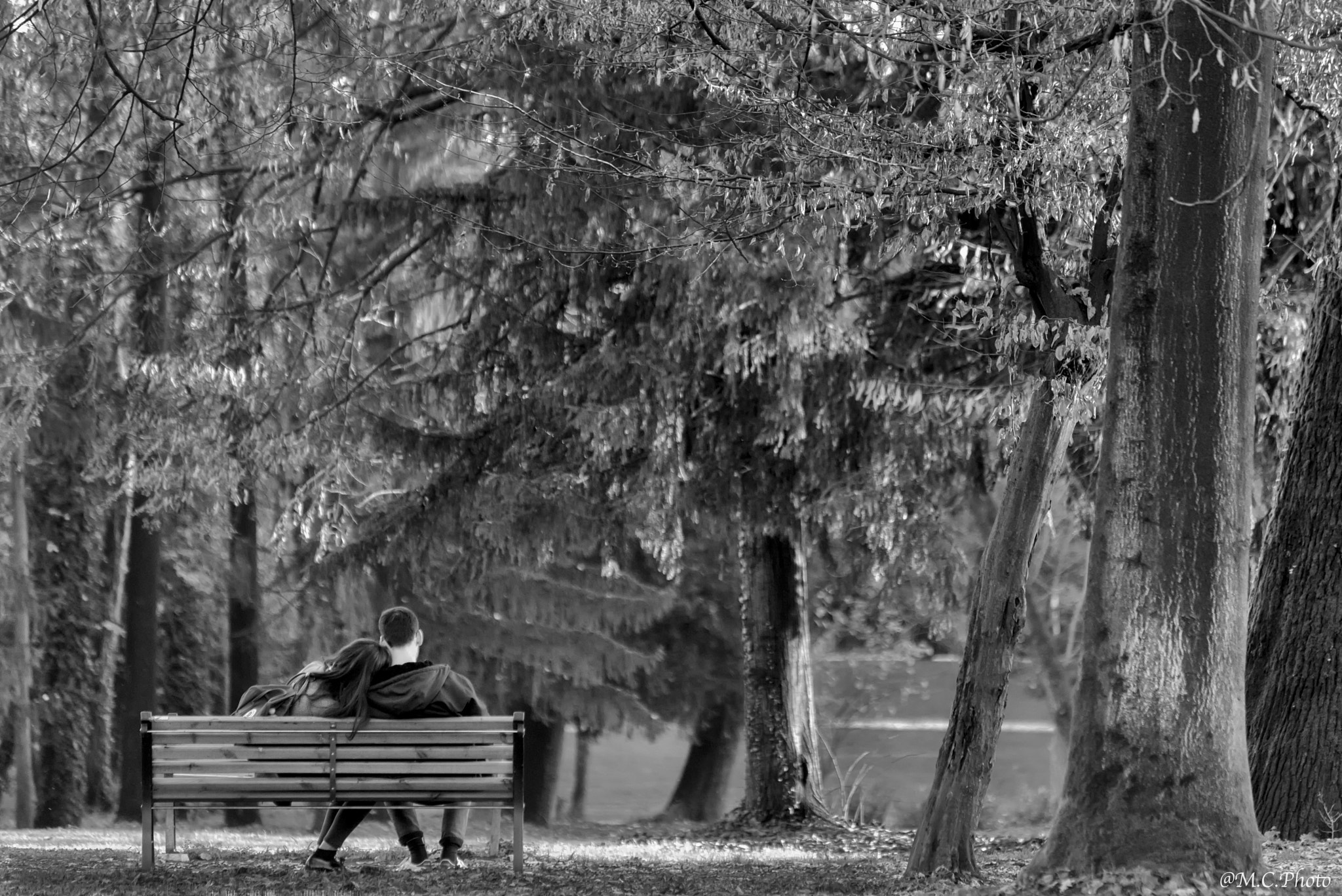 Nikon D810 sample photo. Fall in love photography