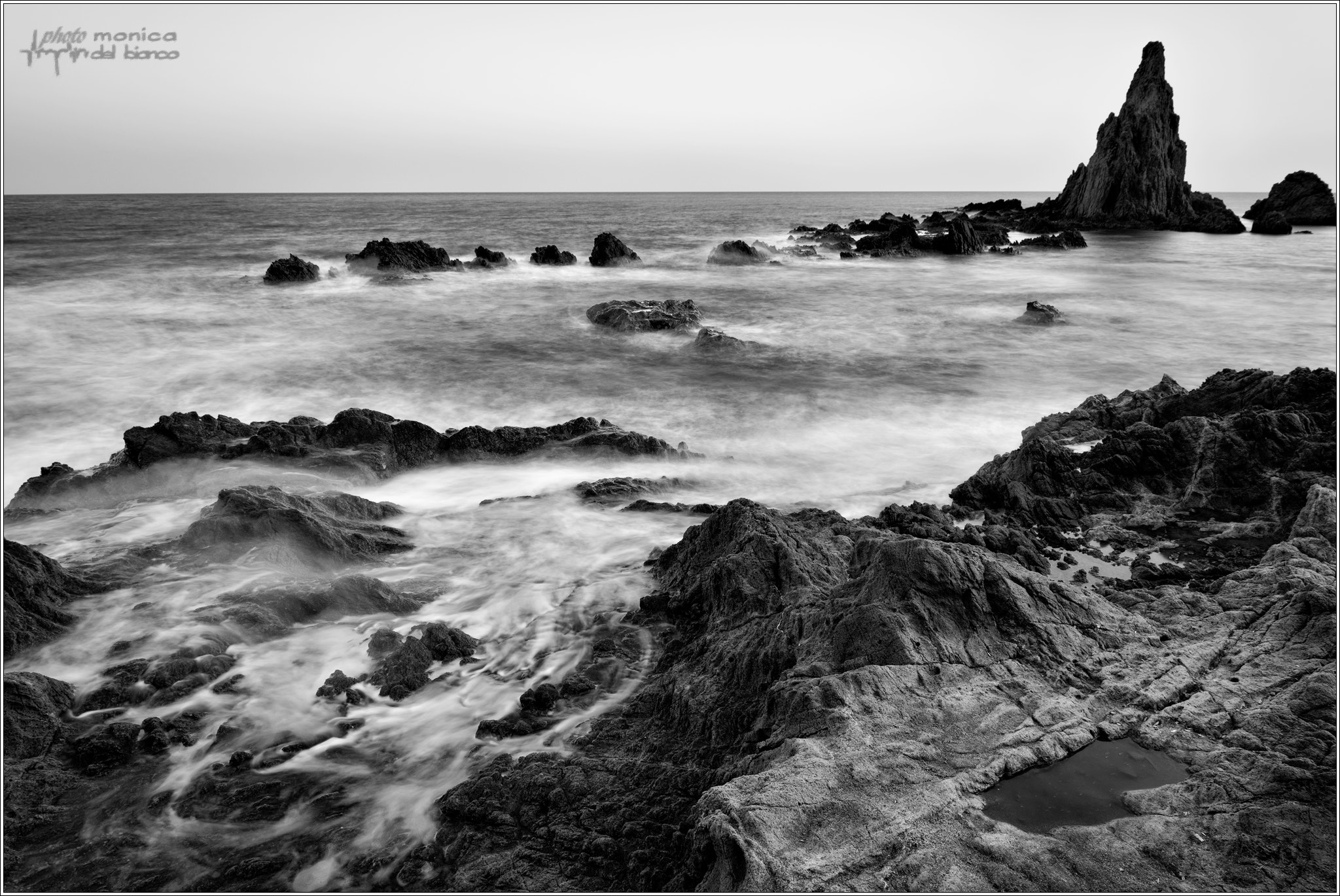 Nikon D500 sample photo. Alone photography