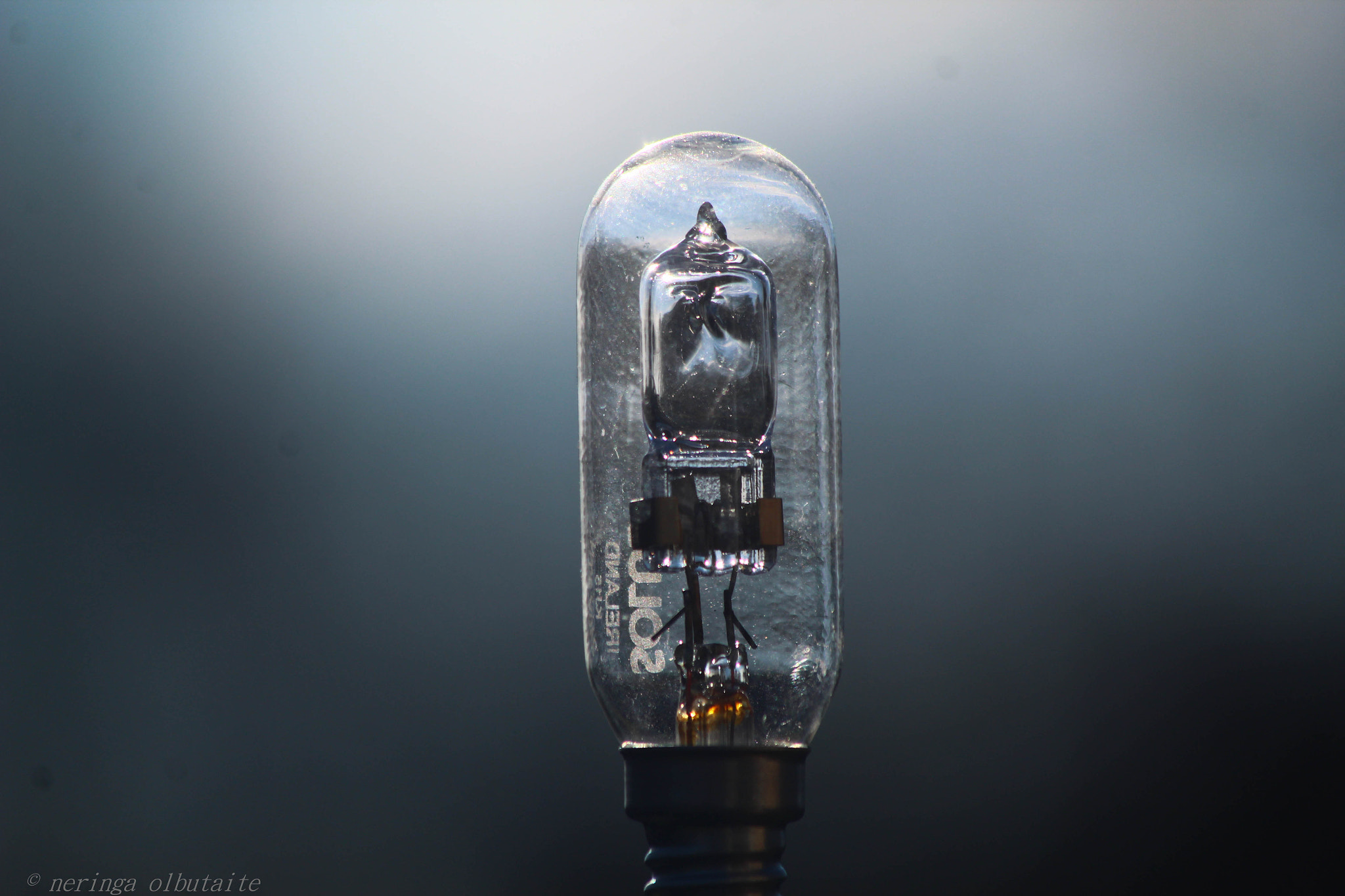 Canon EF 70-300mm F4-5.6 IS USM sample photo. Simplicity photography