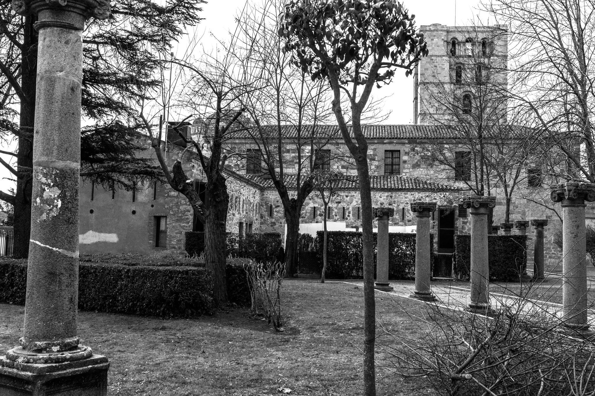 Canon EF 35mm F1.4L II USM sample photo. Catedral zamora black & white photography
