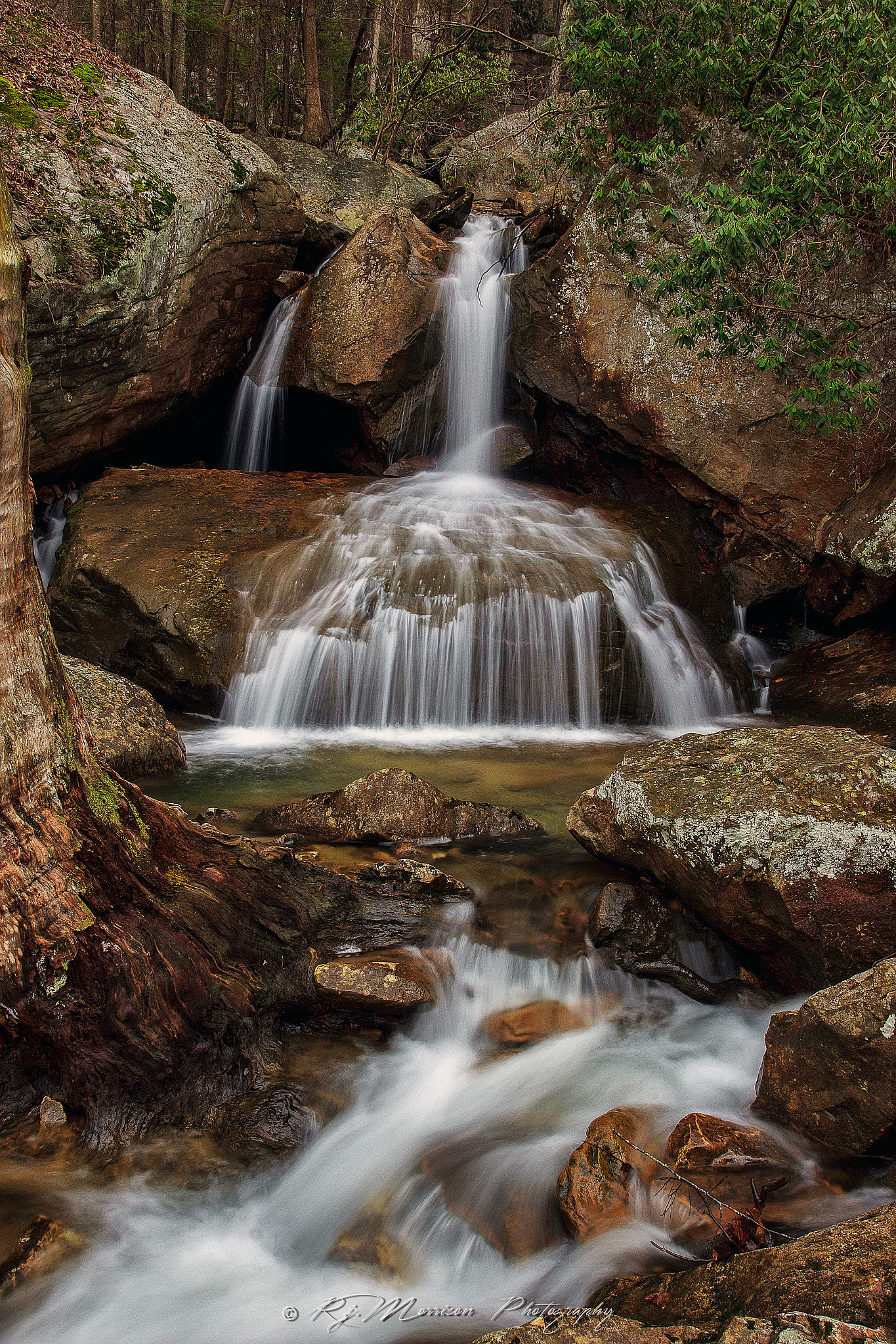 Canon EOS 600D (Rebel EOS T3i / EOS Kiss X5) + Canon EF 17-40mm F4L USM sample photo. Fern creek  photography