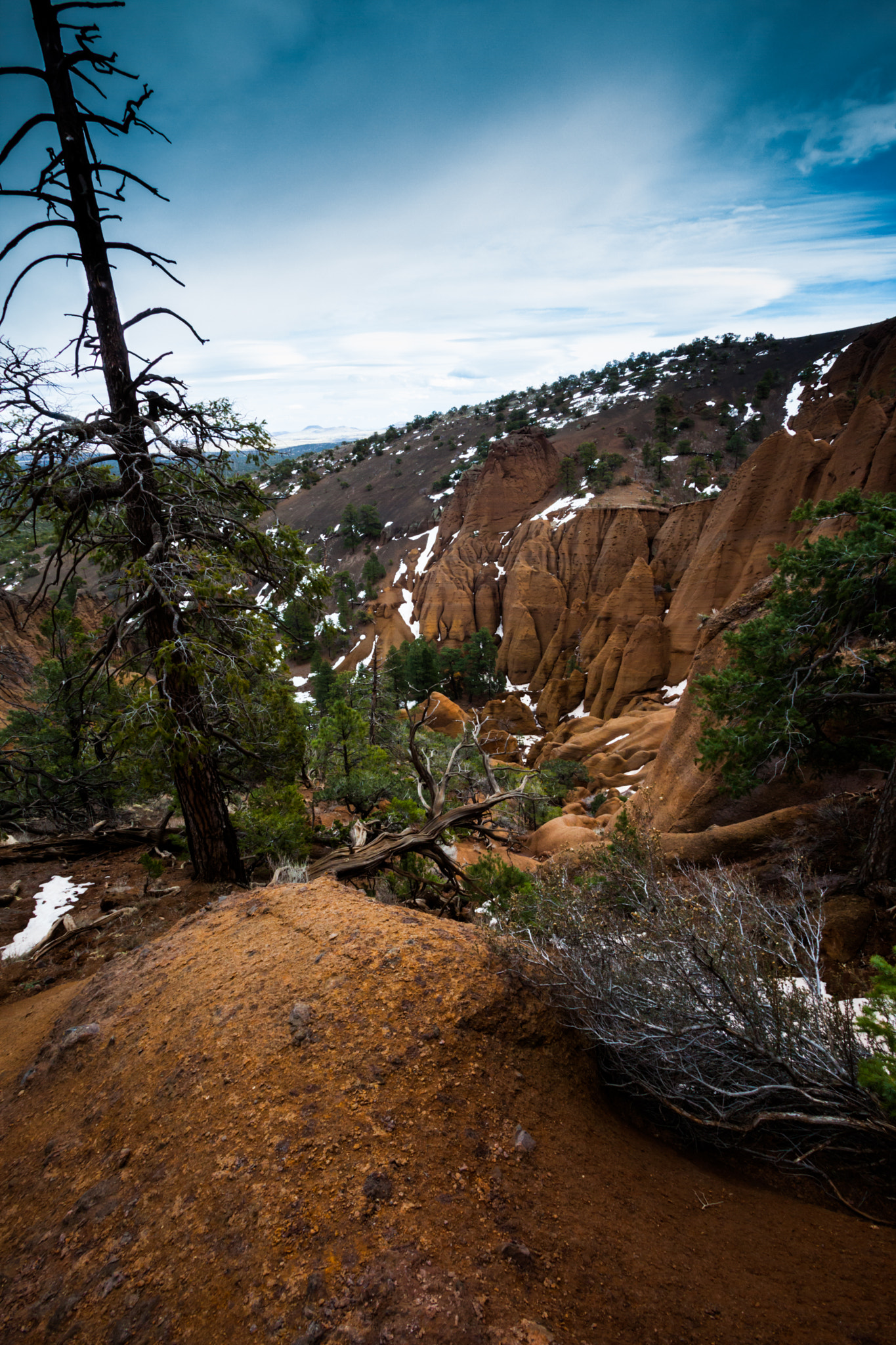 Canon EF 17-35mm f/2.8L sample photo. Up on red mountain photography