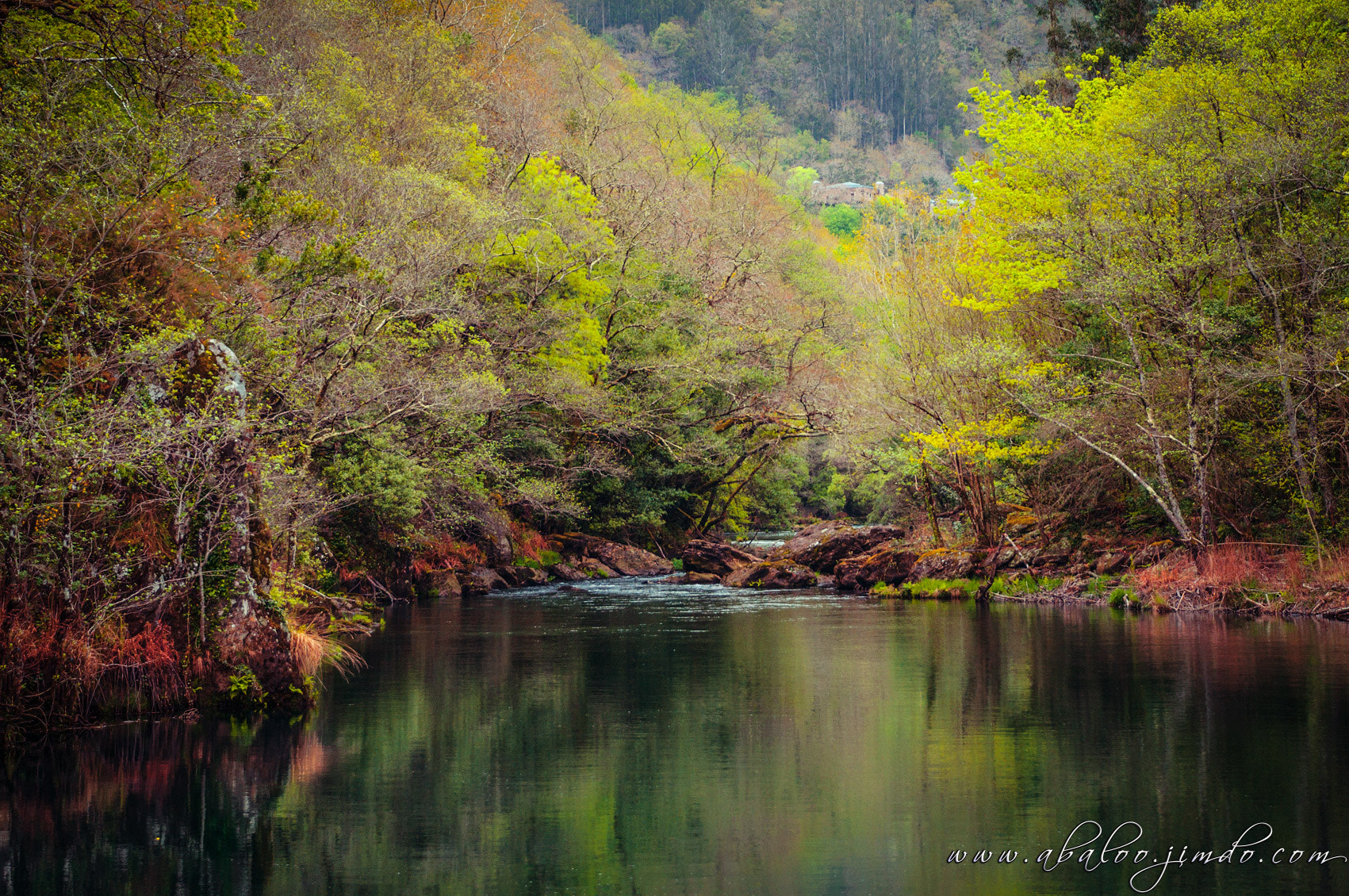 Nikon D300 sample photo. Fragas do eume photography