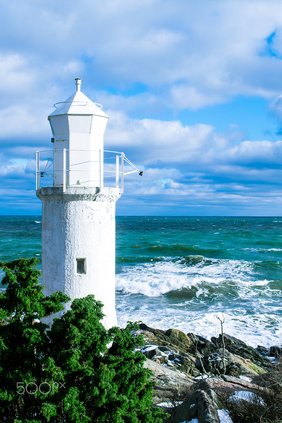 Sigma 17-70mm F2.8-4 DC Macro OS HSM | C sample photo. Sunny coast photography