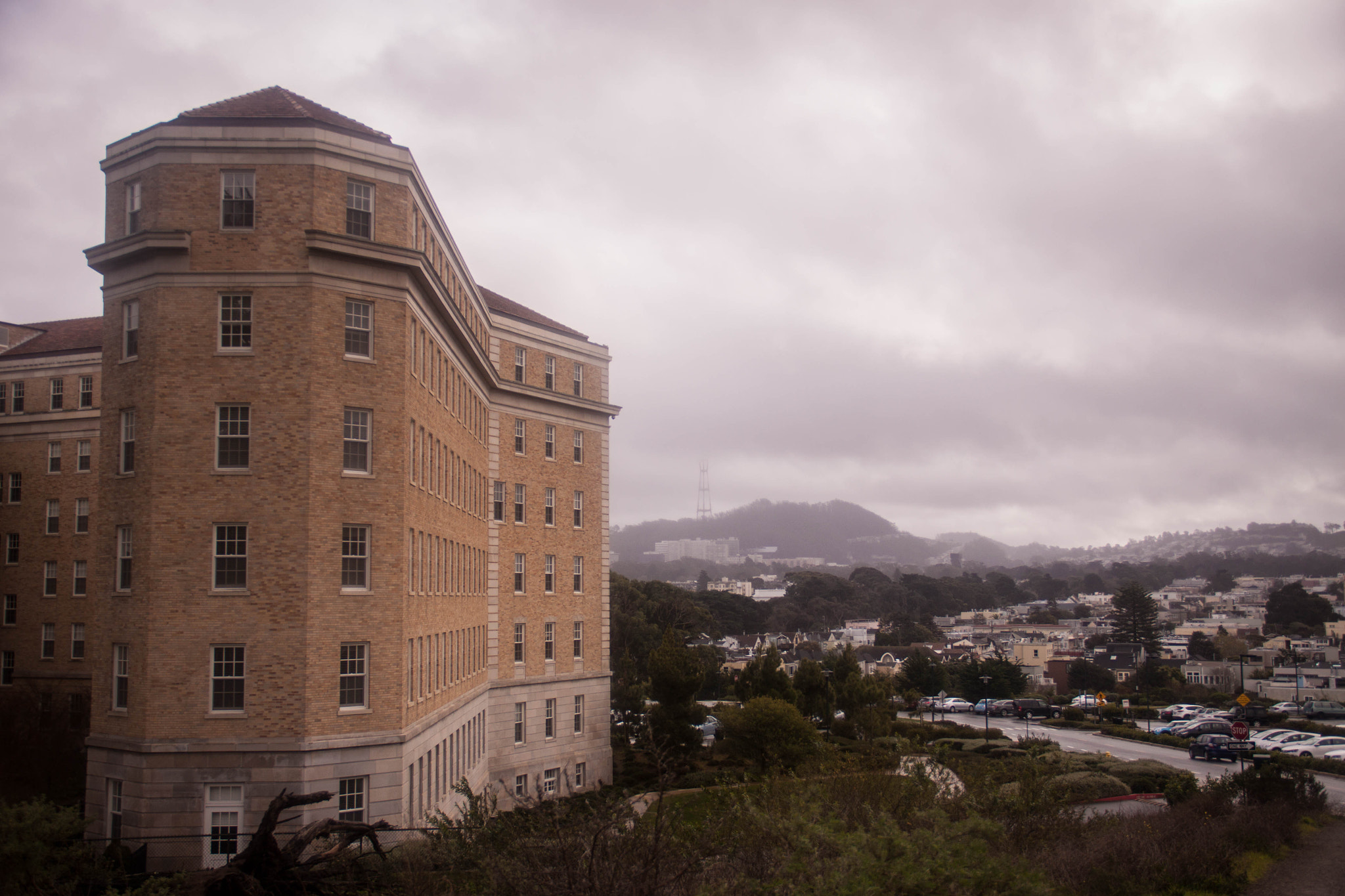 Canon EOS 50D sample photo. Img photography
