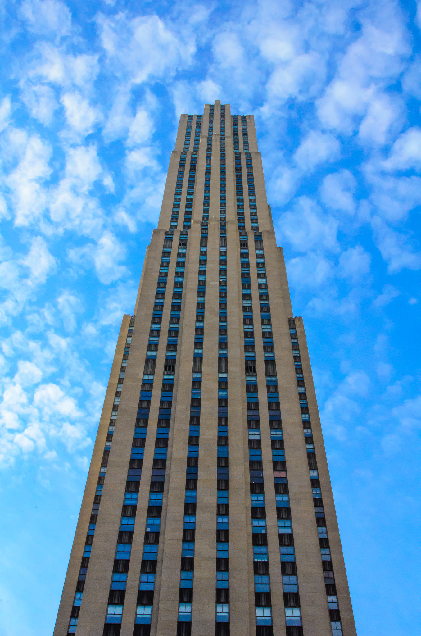 AF Zoom-Nikkor 24-120mm f/3.5-5.6D IF sample photo. Look up ! photography