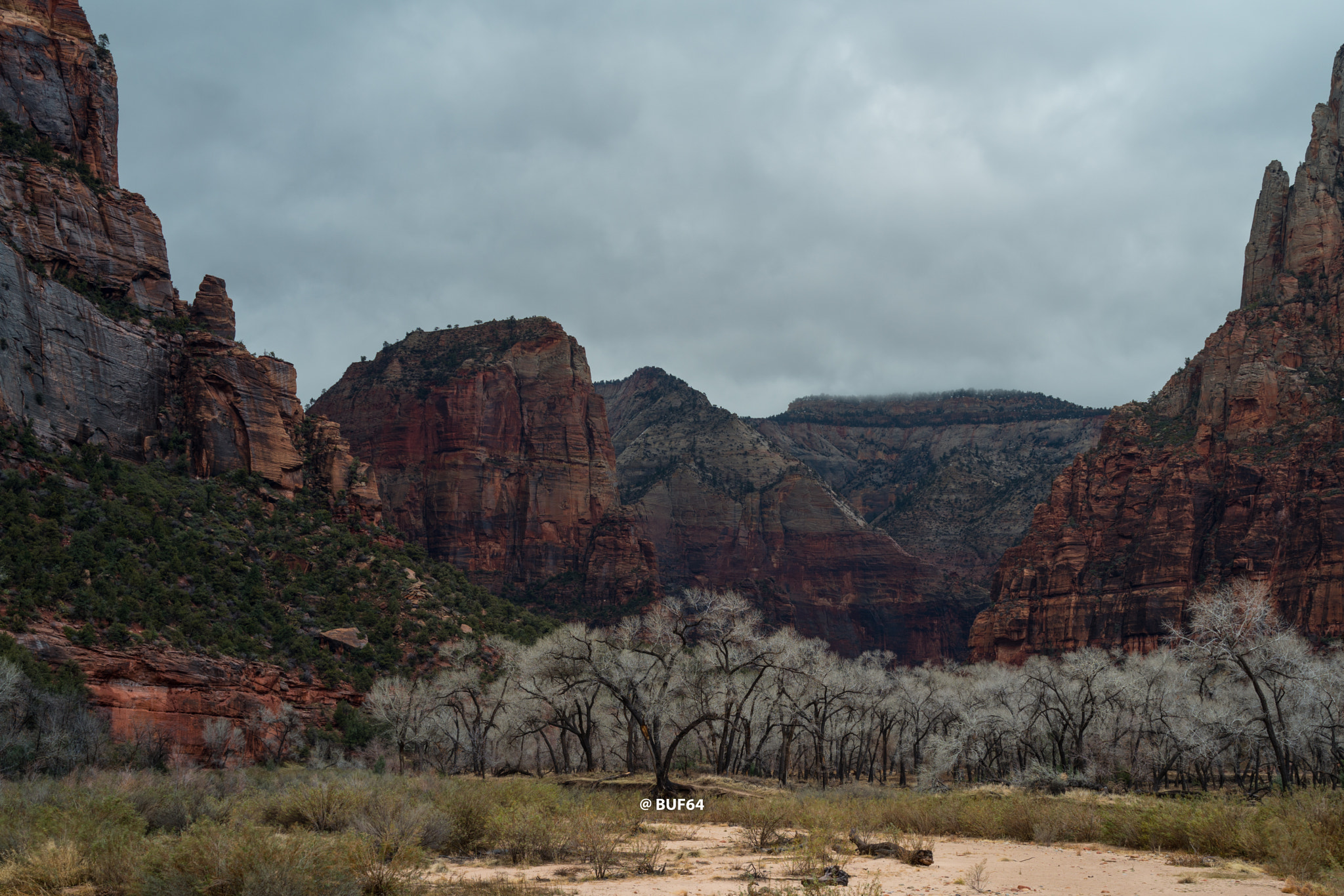 35mm F2.0 sample photo. Zion_rain photography