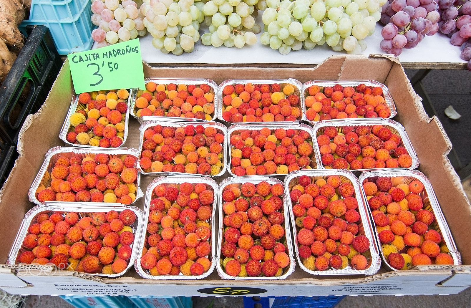 FSA-L2, EDG 65, 800mm F13 G sample photo. Madronos market display photography