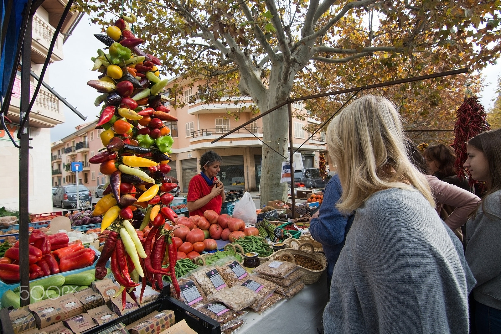 Nikon D7100 + Sigma 24mm F1.8 EX DG Aspherical Macro sample photo. Santa maria market photography