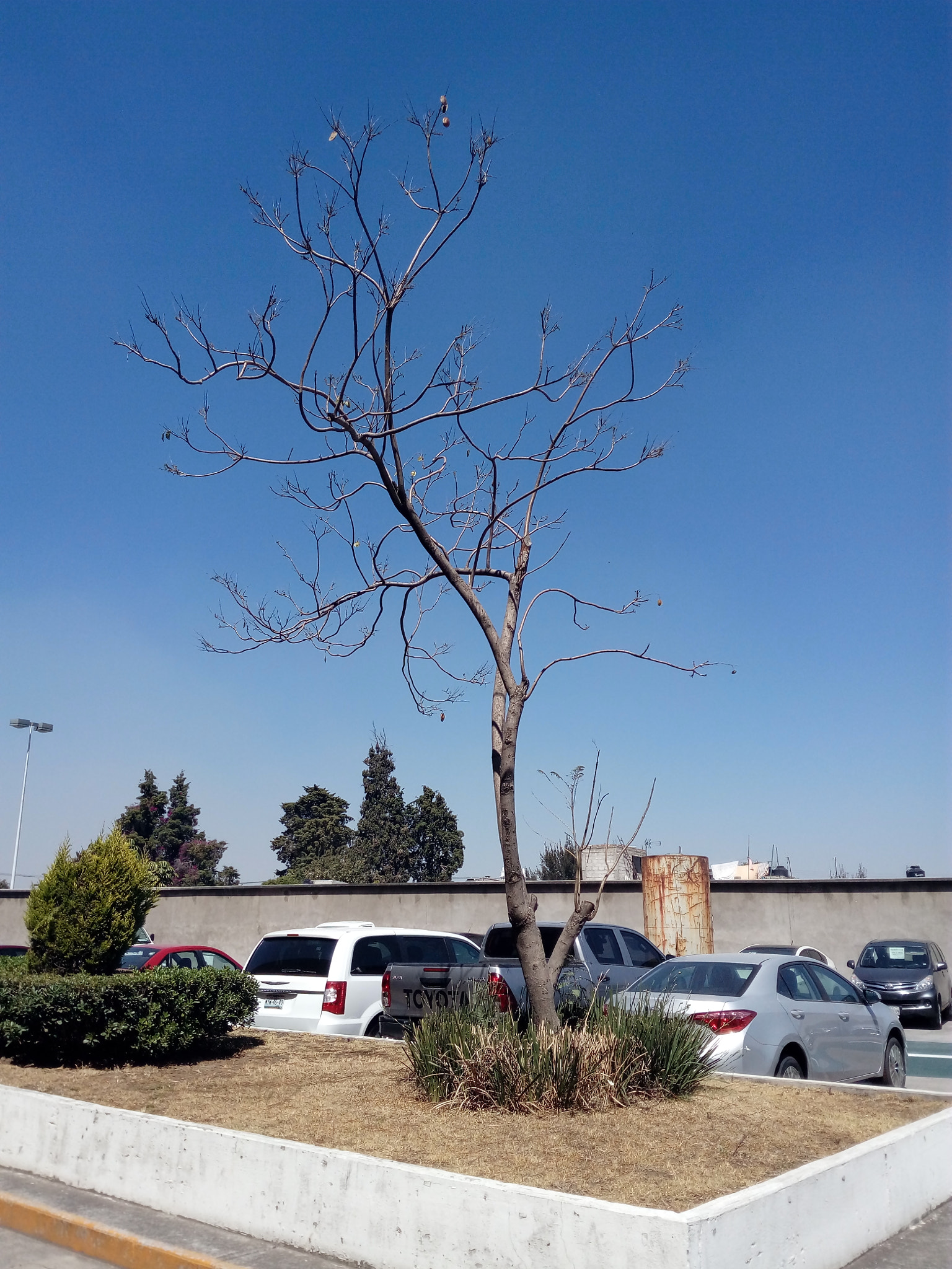 HUAWEI GR3 sample photo