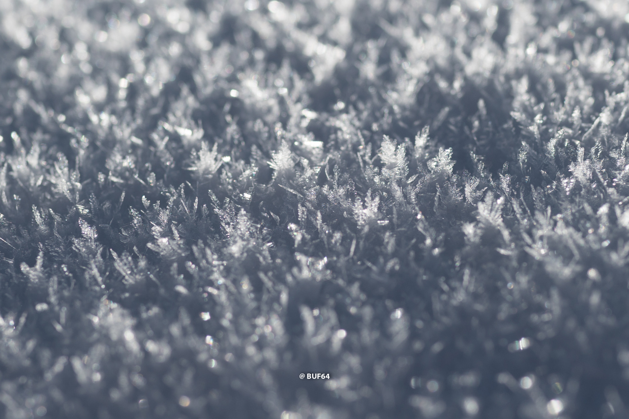 35mm F2.0 sample photo. Zion_snowflake photography