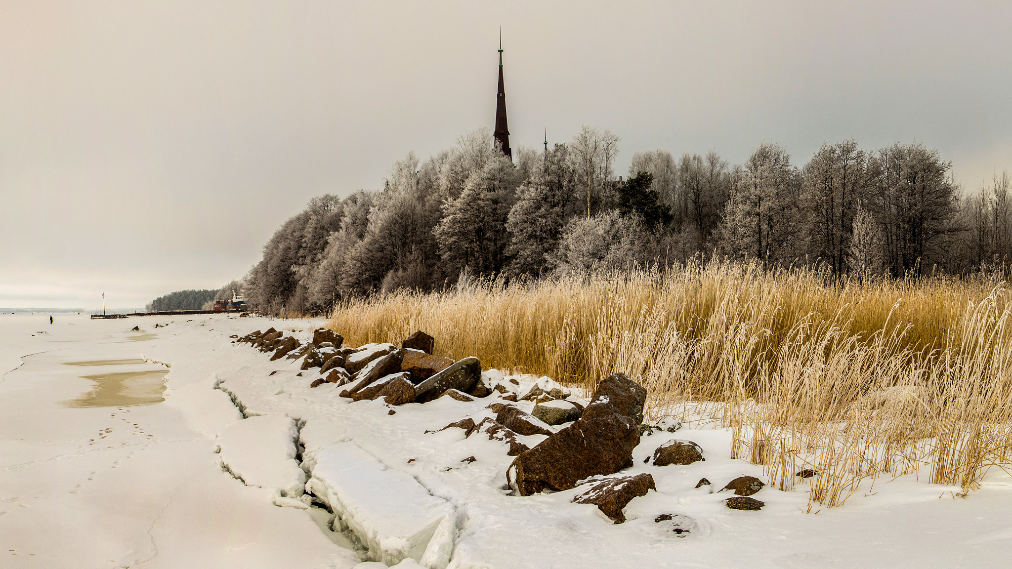 Canon EOS 650D (EOS Rebel T4i / EOS Kiss X6i) + Canon EF 24-105mm F4L IS USM sample photo. Koivisto/ primorsk photography