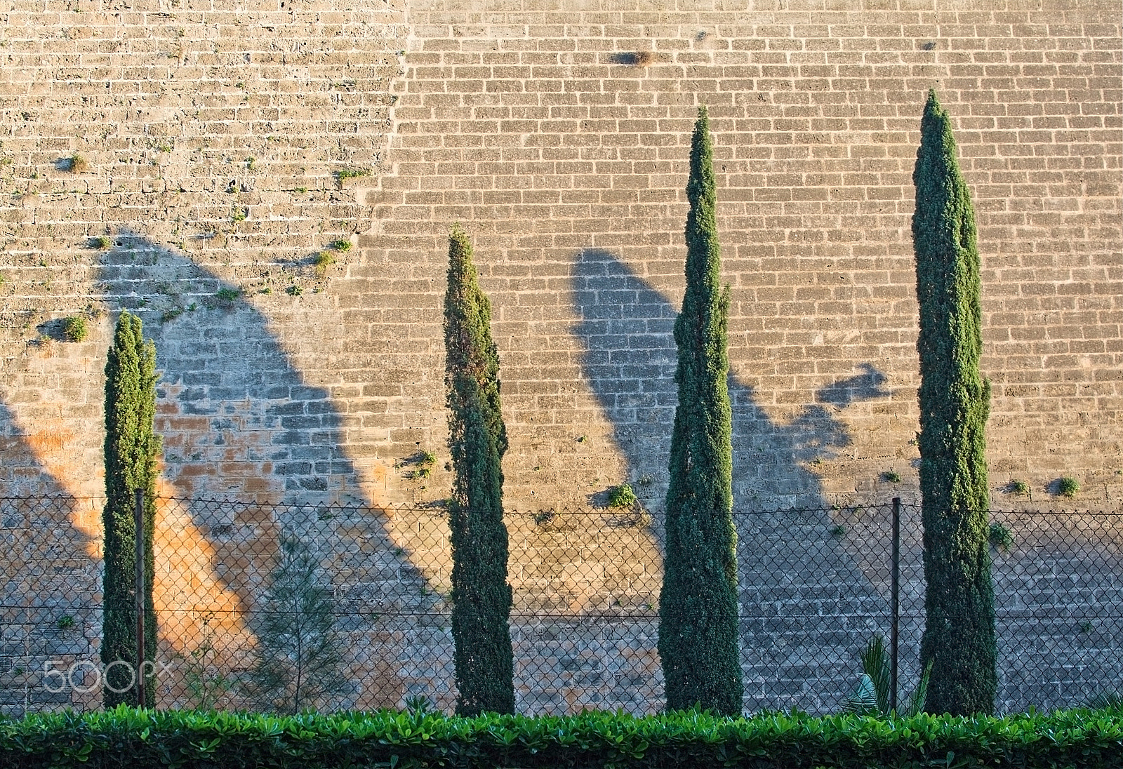 Nikon AF-S DX Micro Nikkor 40mm F2.8 sample photo. Juniper shadows on stone wall photography