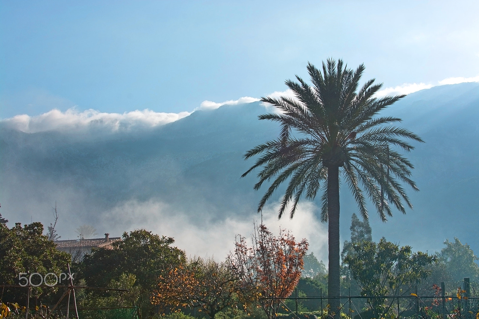 AF Zoom-Nikkor 24-50mm f/3.3-4.5 sample photo. Mallorca winter landscape photography