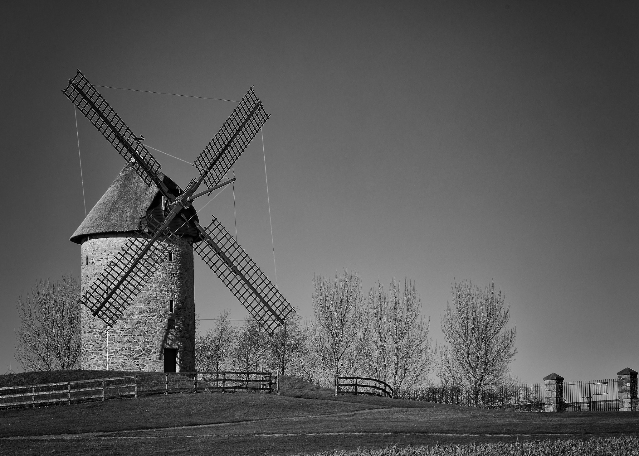 Tamron SP 35mm F1.8 Di VC USD sample photo. Wind photography