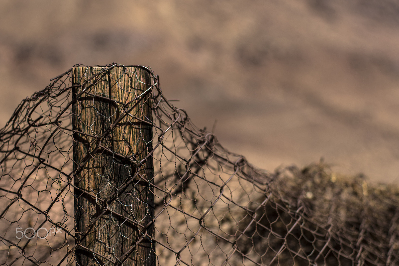 Canon EF 50mm F1.4 USM sample photo. The fence photography
