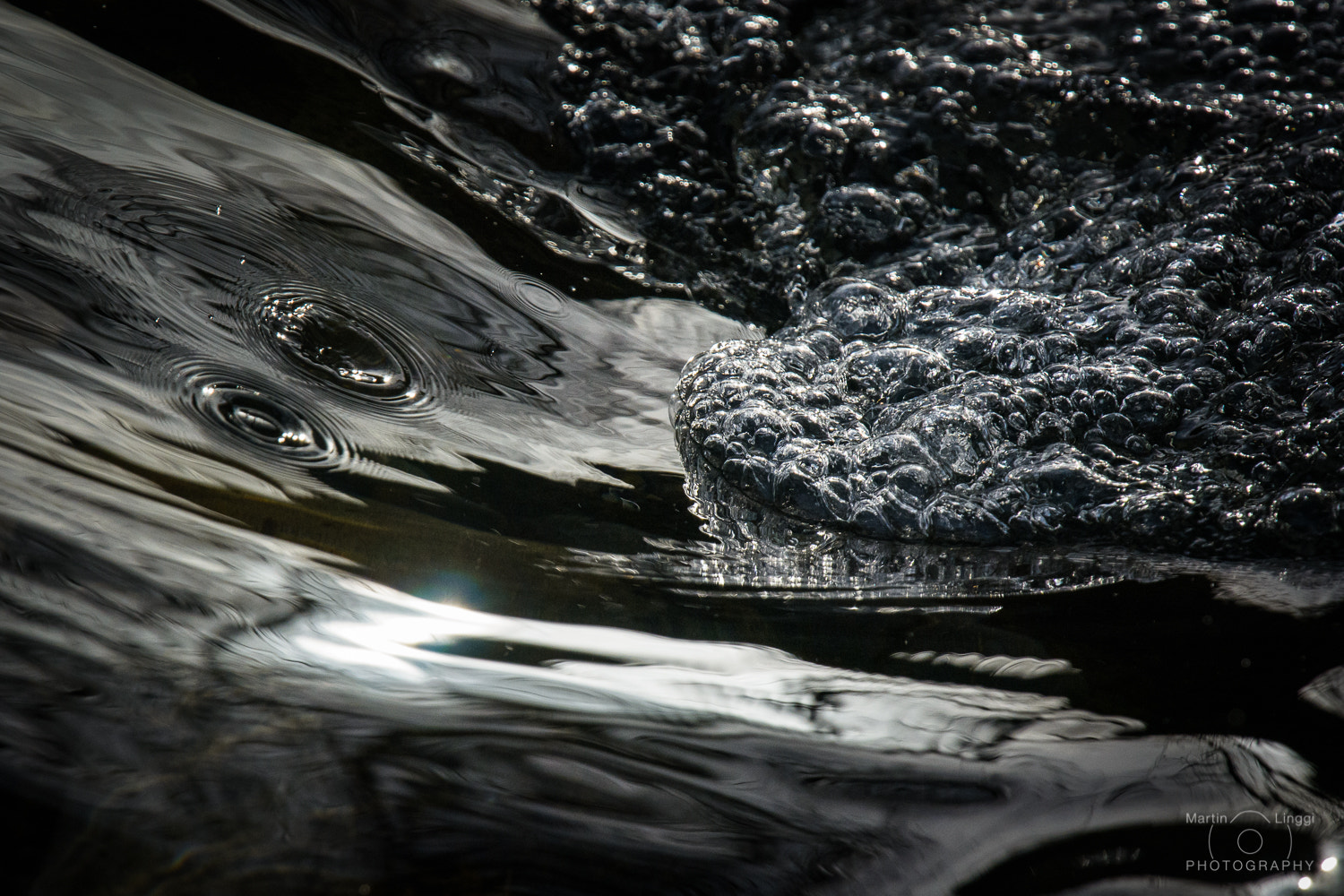 Nikon Nikkor AF-S 300mm F4E PF ED VR sample photo. Frozen flow photography