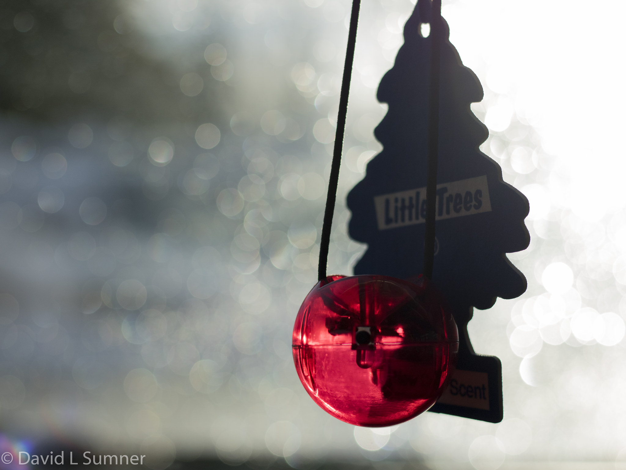 Canon EOS 760D (EOS Rebel T6s / EOS 8000D) sample photo. Little tree  photography