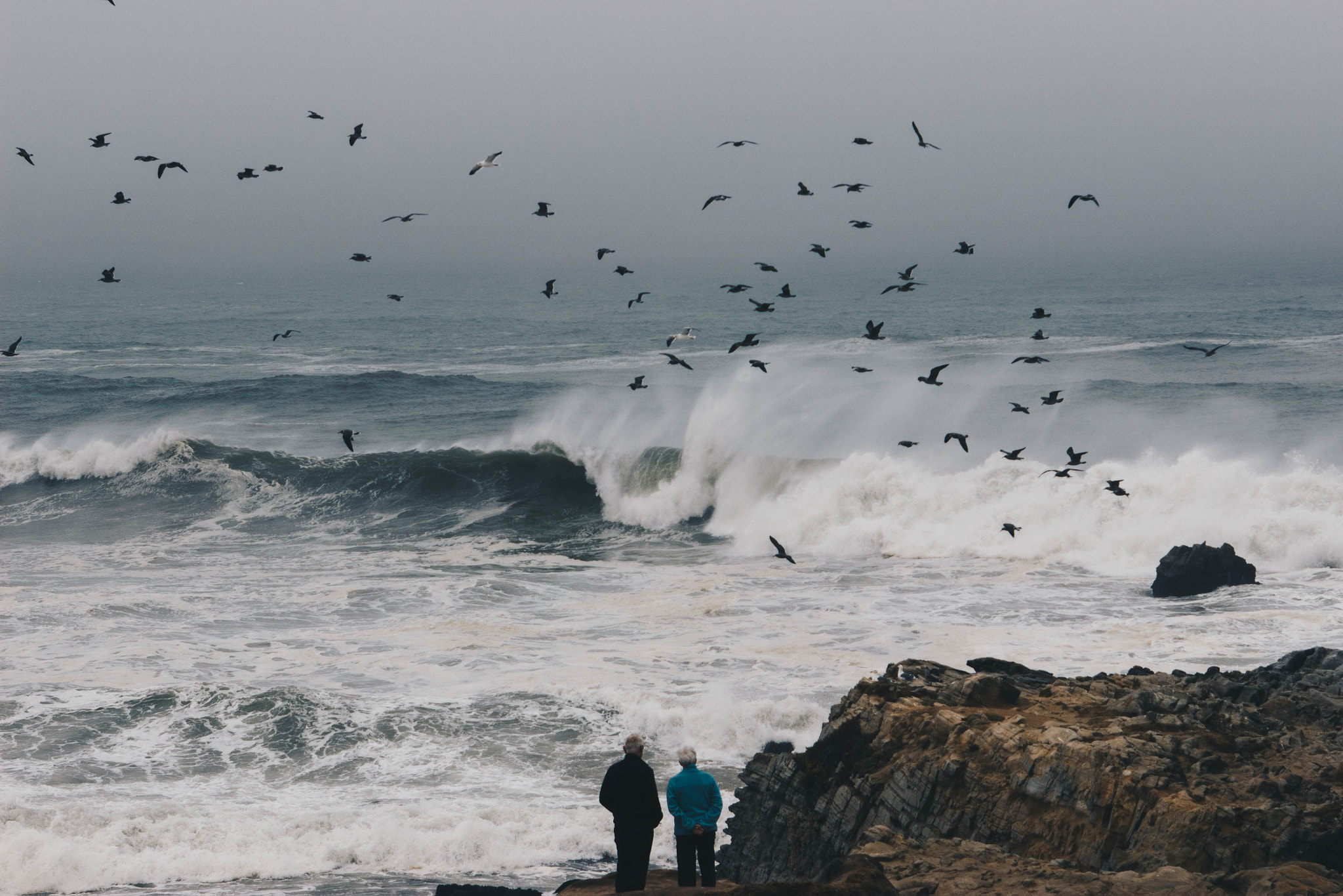 EF28-70mm f/2.8L USM sample photo. Strong through the storm photography