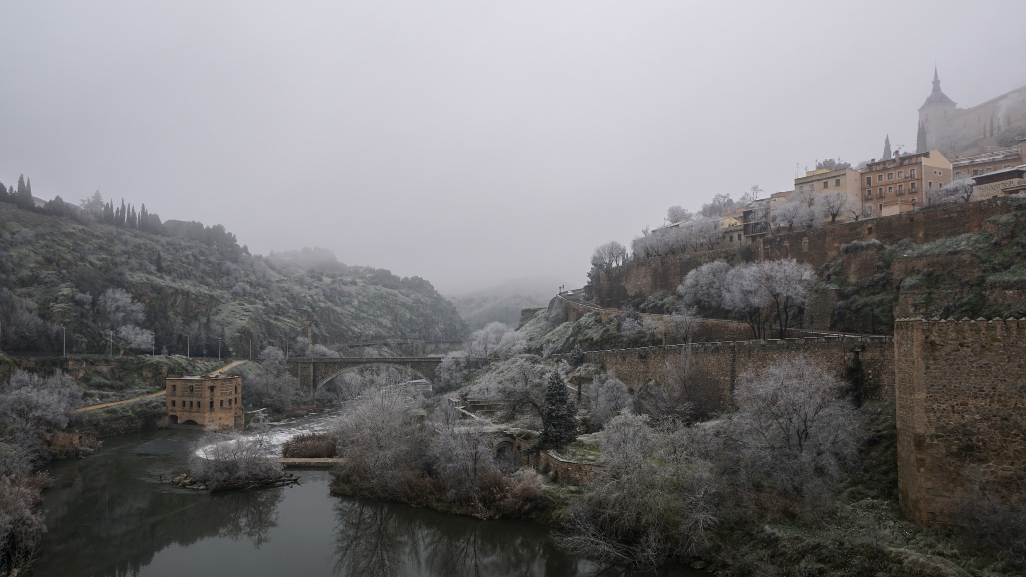 Sony ILCA-77M2 + Sony DT 16-105mm F3.5-5.6 sample photo. Frozen toledo photography