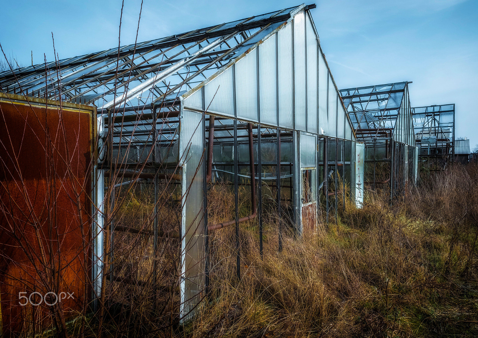 Fujifilm X-Pro2 + Fujifilm XF 16mm F1.4 R WR sample photo. Here's nothing grow in line anymore photography